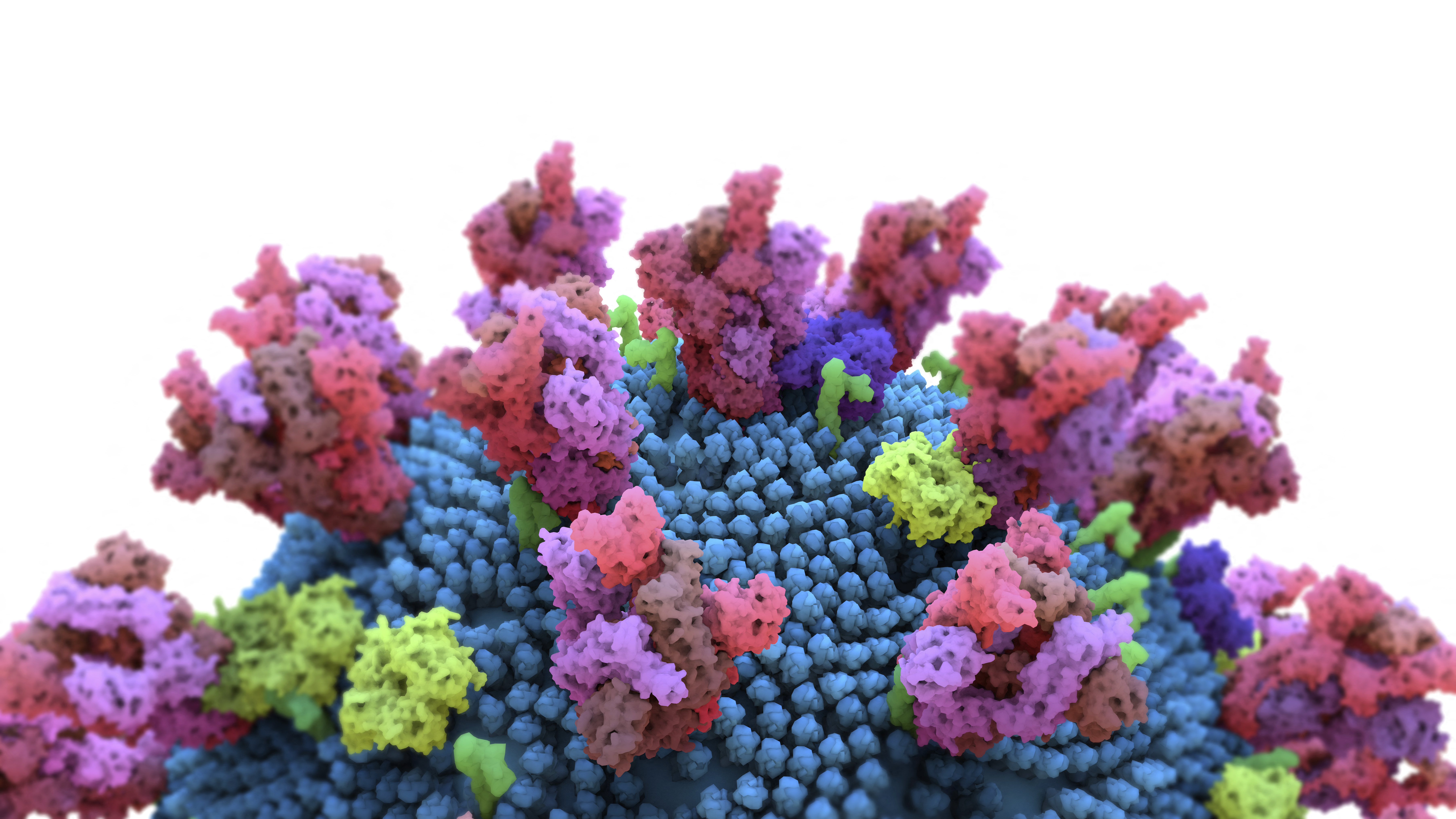 Génszerkesztéssel gátolták a SARS-CoV-2 vírus terjedését emberi sejtekben
