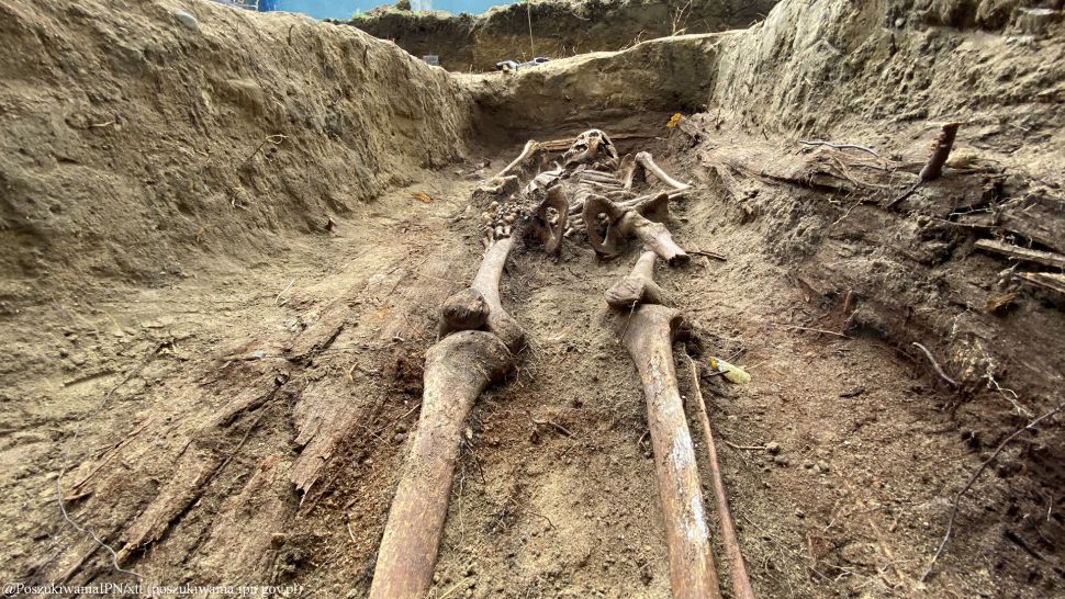 Szovjet katonák által meggyilkolt apácák csontvázait ásták ki Lengyelországban