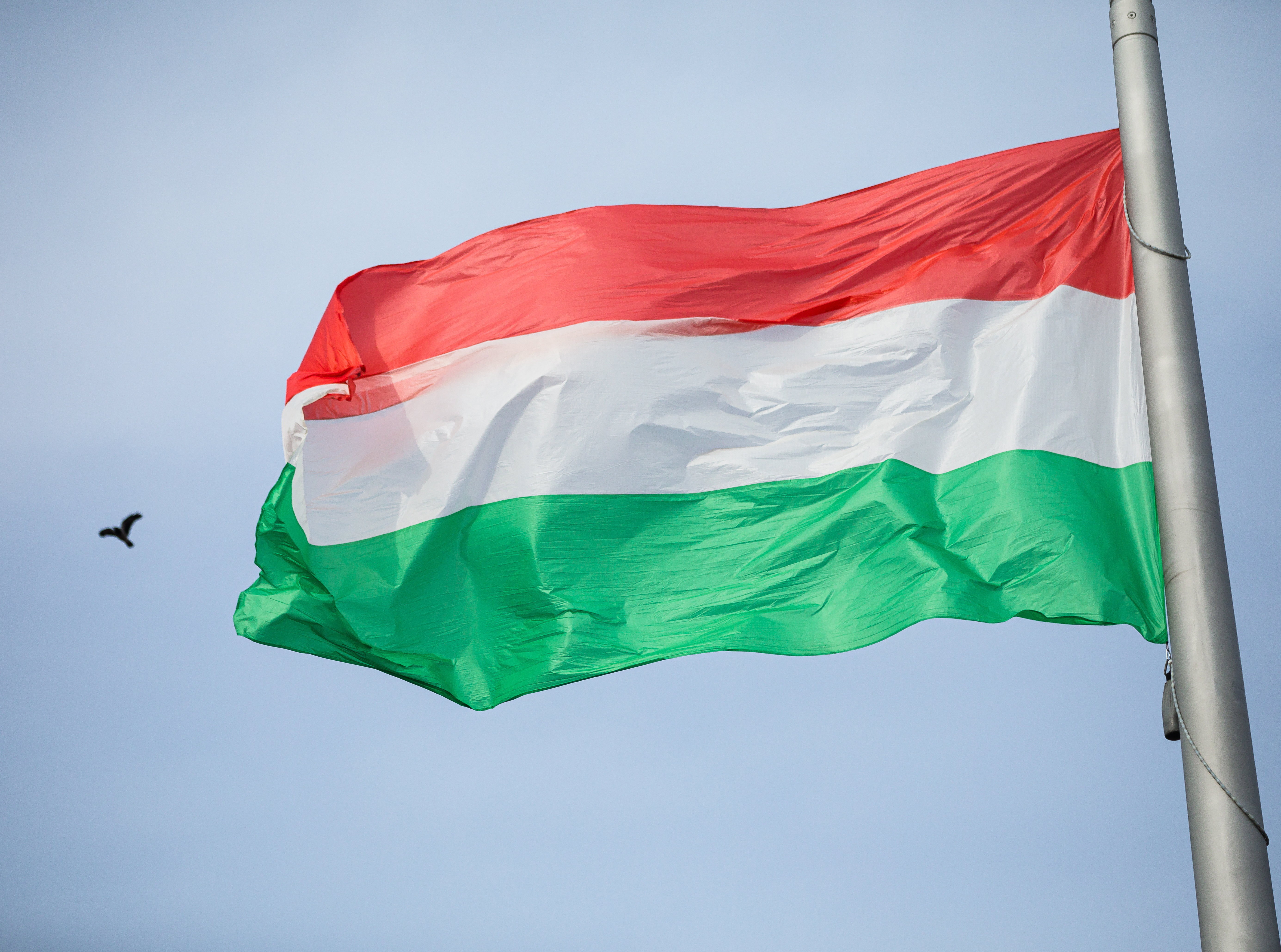 A Fidesz szerint Karácsony nem tűzte ki a nemzeti lobogókat március 15-én, a főpolgármester szerint pedig igen