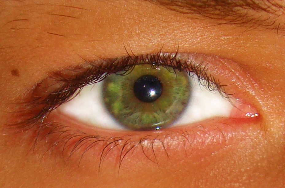 Sokkal összetettebb a szem színét meghatározó genetikai mechanizmus, mint azt korábban gondolták
