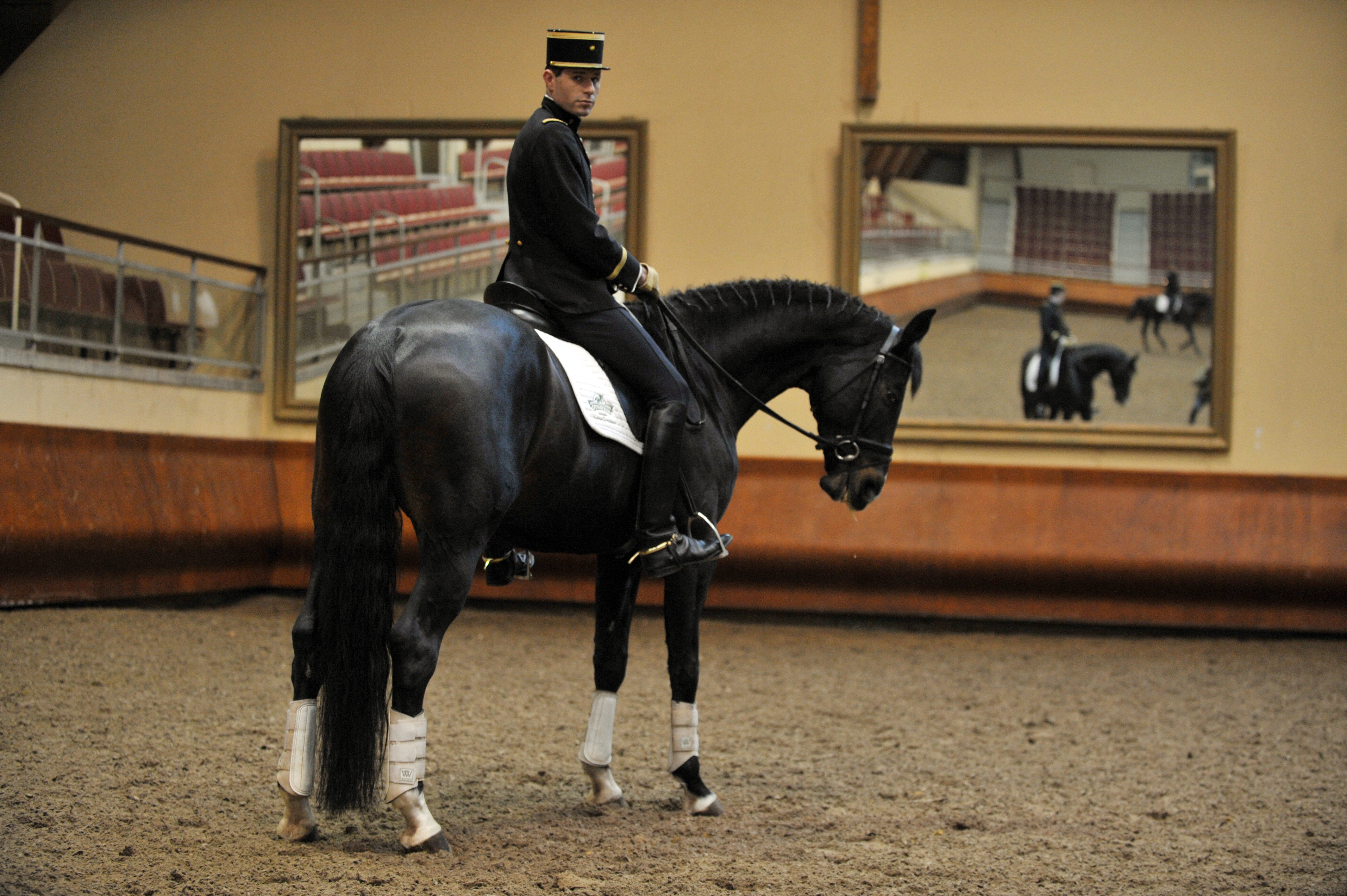 A francia nemzeti lovasközpont tükrökkel felszerelt fedeles lovardája Saumurban