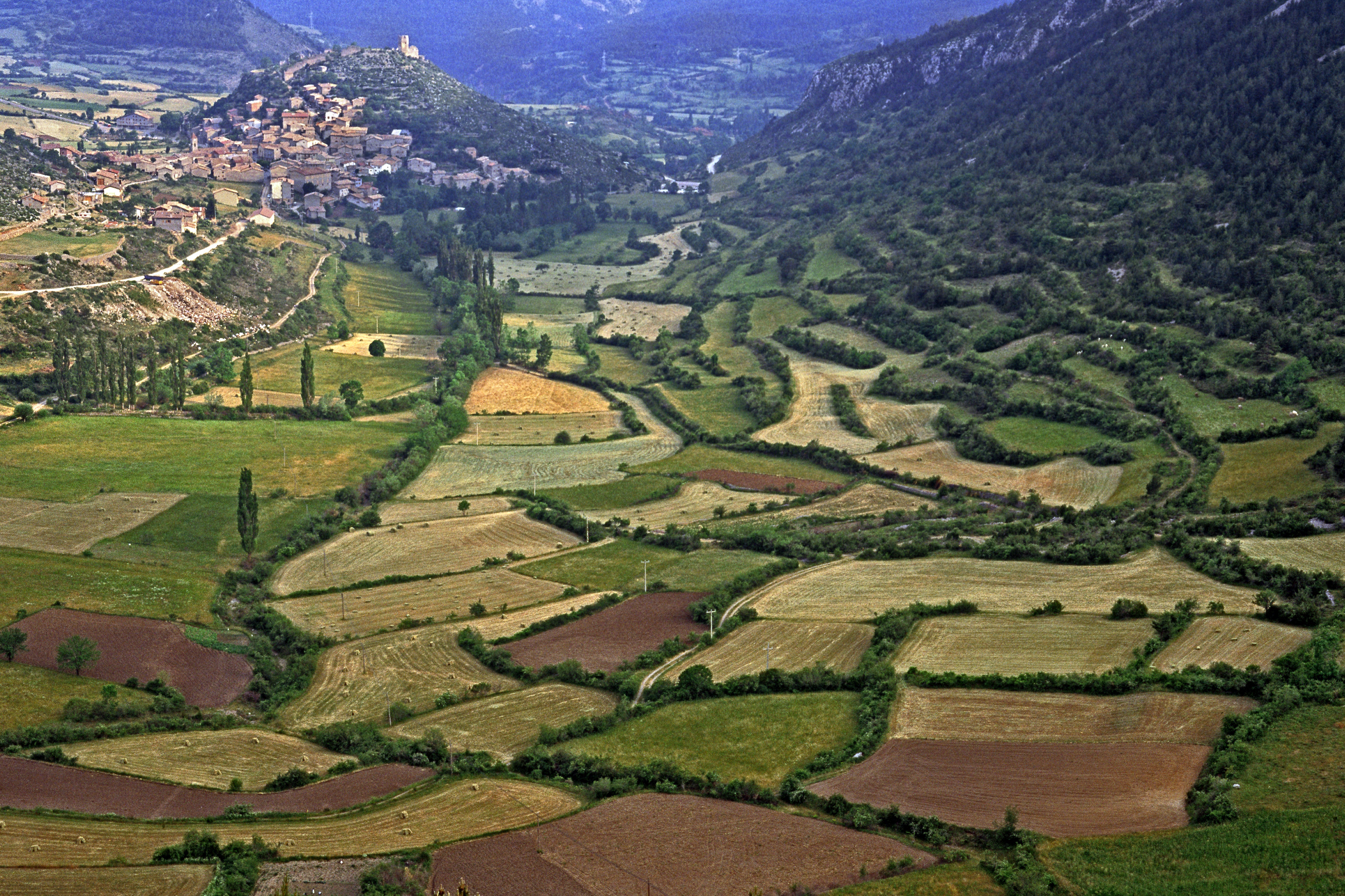 A katalán Pireneusok lankái Gósol körül.