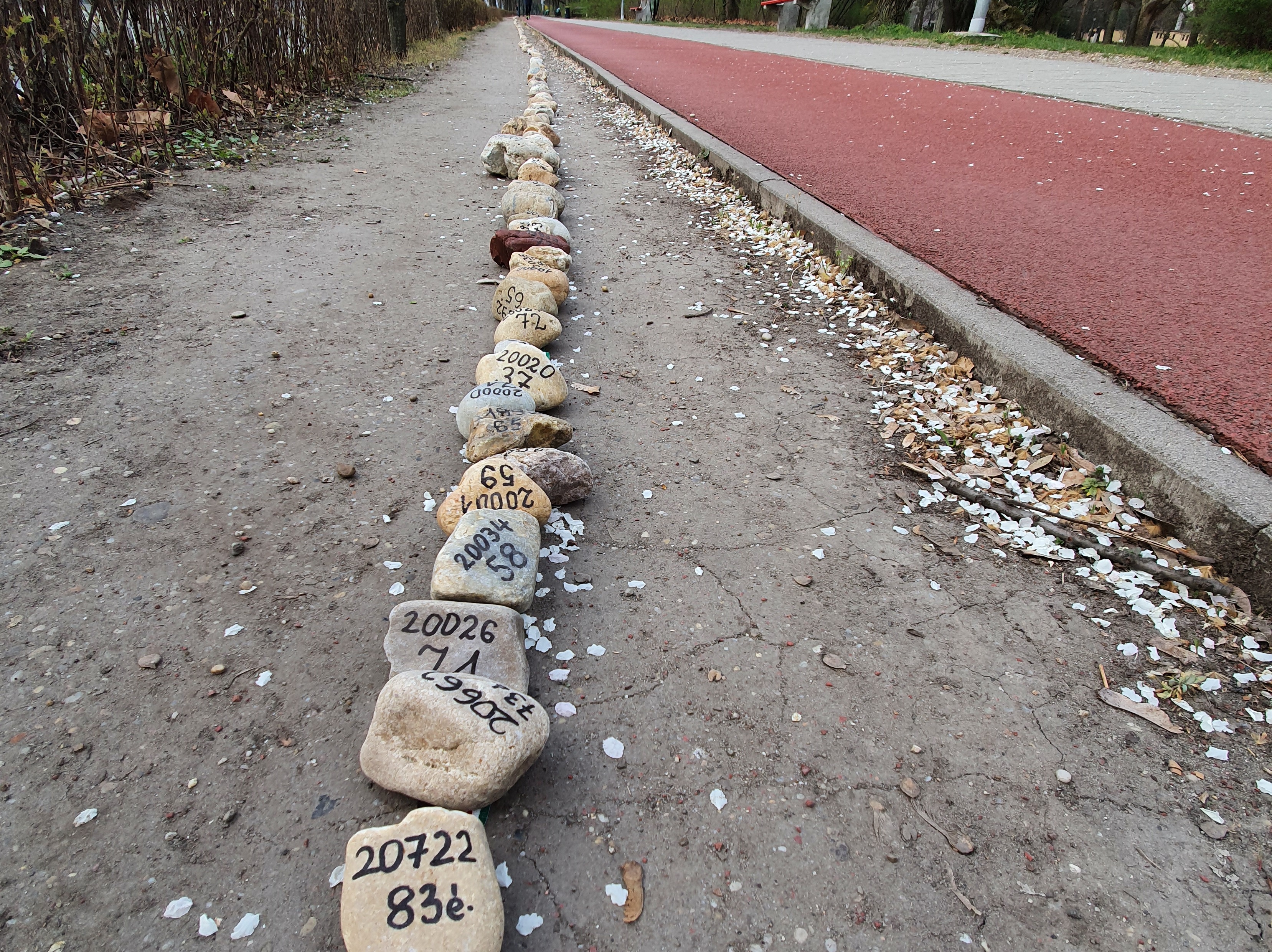 20 ezer, egyenként megjelölt kaviccsal emlékeznek a járvány magyar áldozataira a Margitszigeten