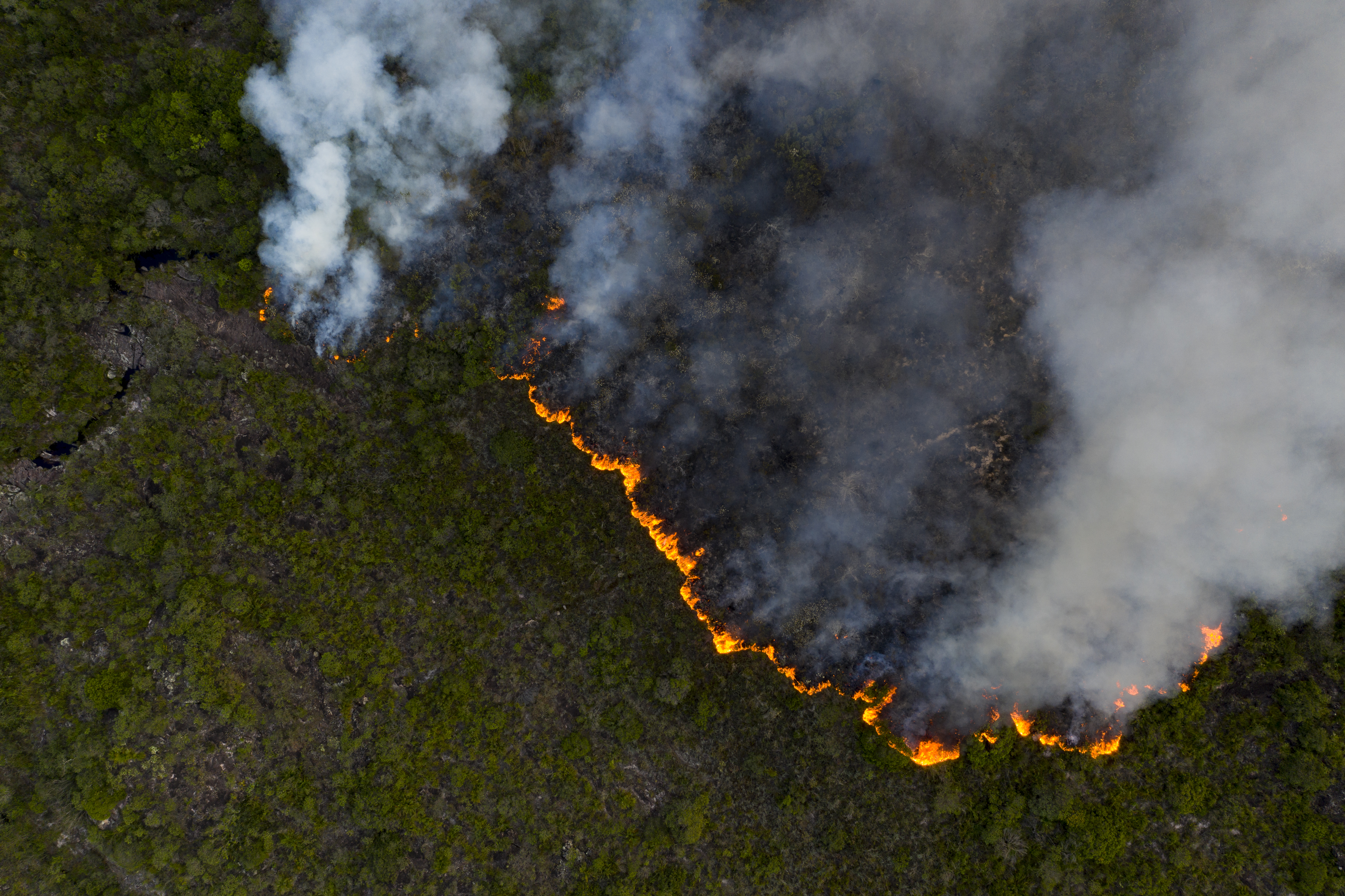 Brazília egymilliárd dollárt kér az őserdő megmentésére