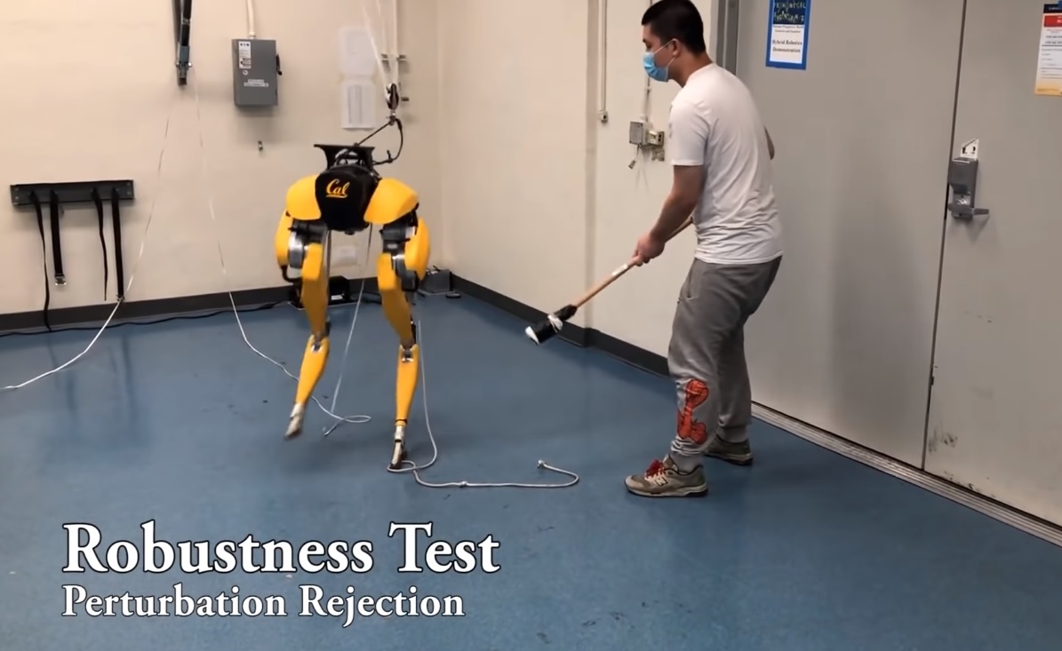 Magától tanult meg járni Cassie, a Berkeley-n fejlesztett kétlábú robot