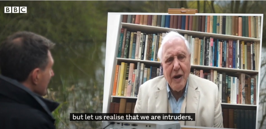 David Attenborough dokumentumfilmben mutatja be, hogyan tért magához a természet a lezárások alatt