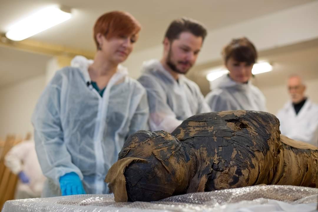 Terhes múmiát találtak a Varsói Nemzeti Múzeumban