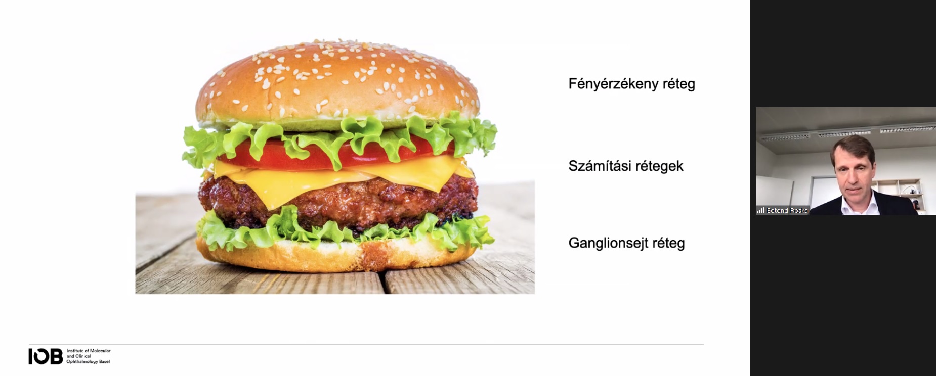 A retina-hamburger és Roska Botond