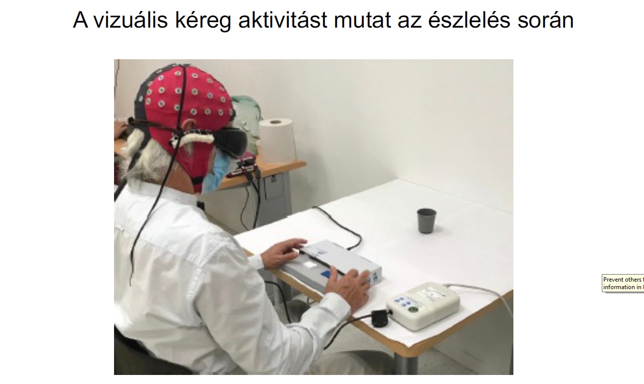 EEG-kísérlet