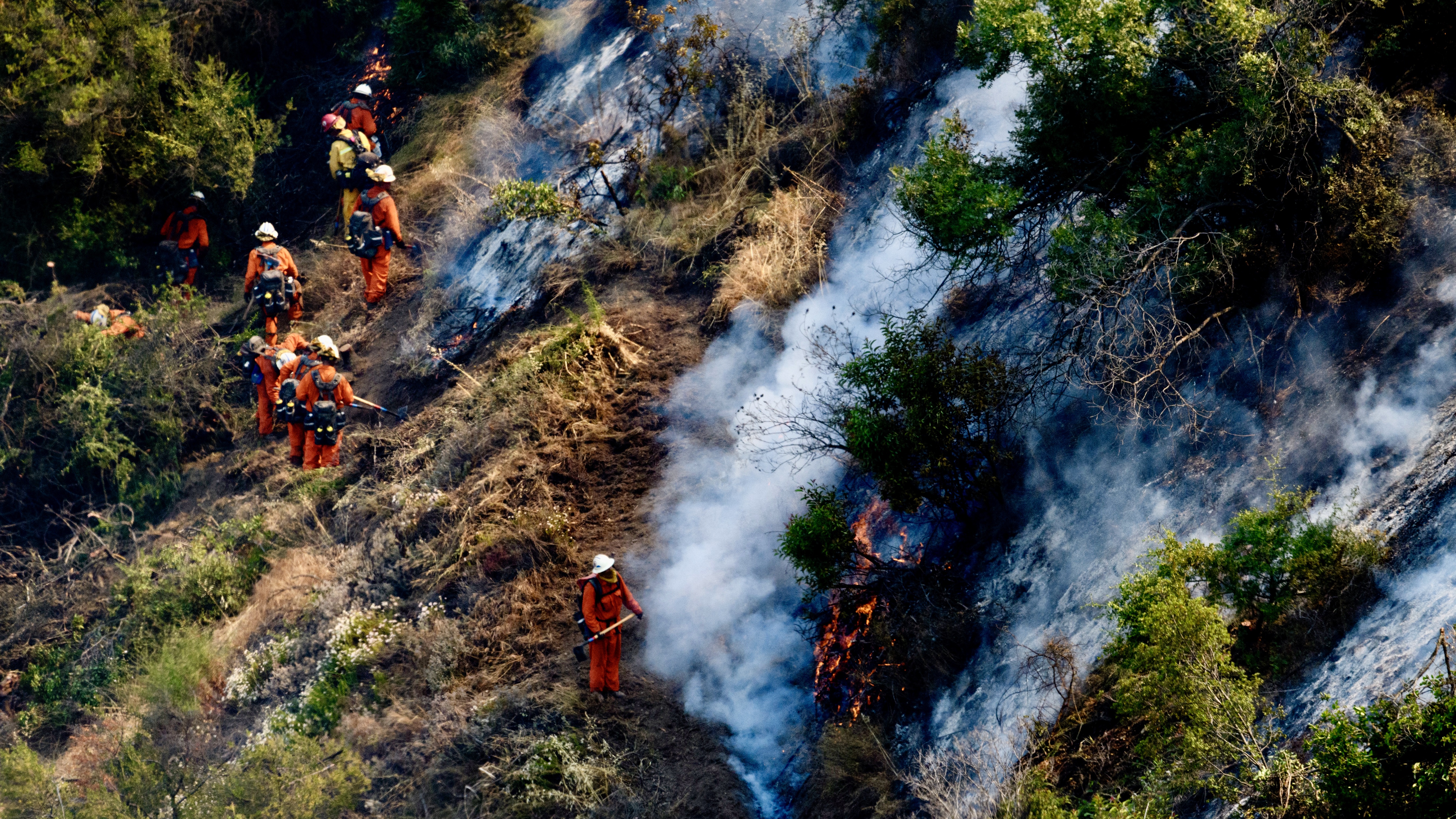 2017 májusában a Mandeville-kanyon környékén, több millió dolláros ingatlanok mellett csaptak fel a lángok.