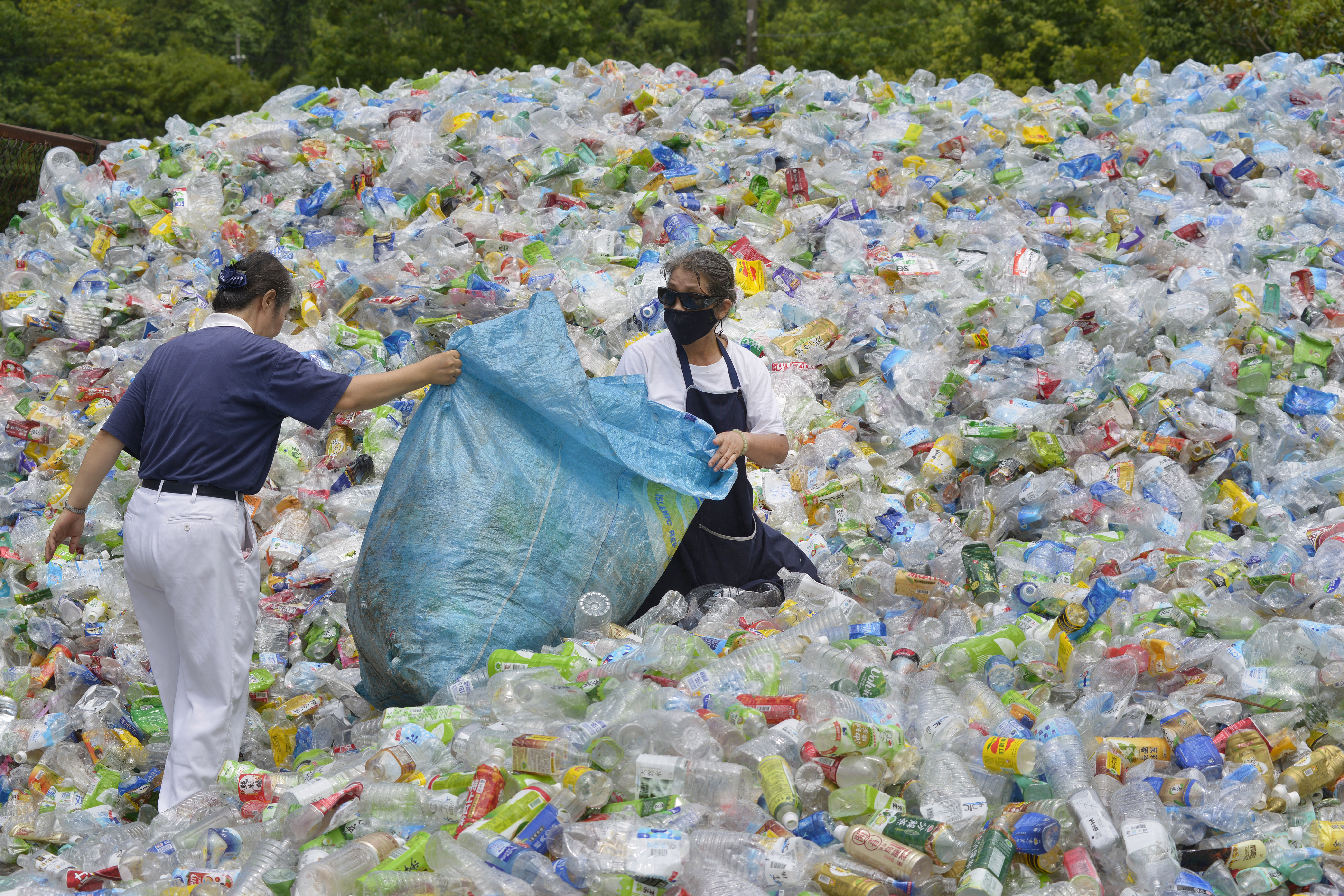 Áttörés a műanyaghulladékok újrahasznosításában: vaníliaaromát készítettek PET palackokból