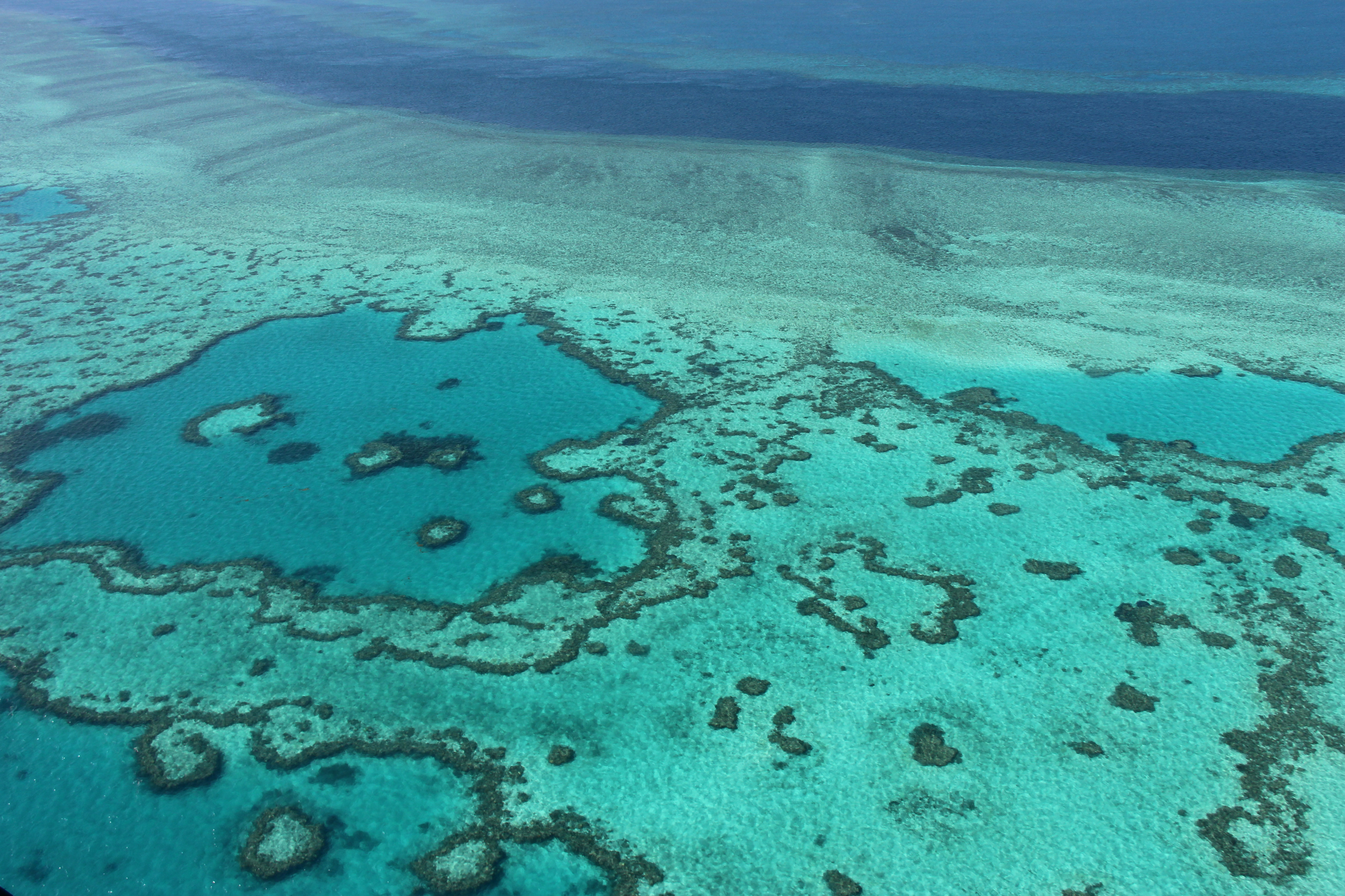 Az ENSZ szerint súlyos veszélyben, Ausztrália szerint jó kezekben van a Nagy-korallzátony