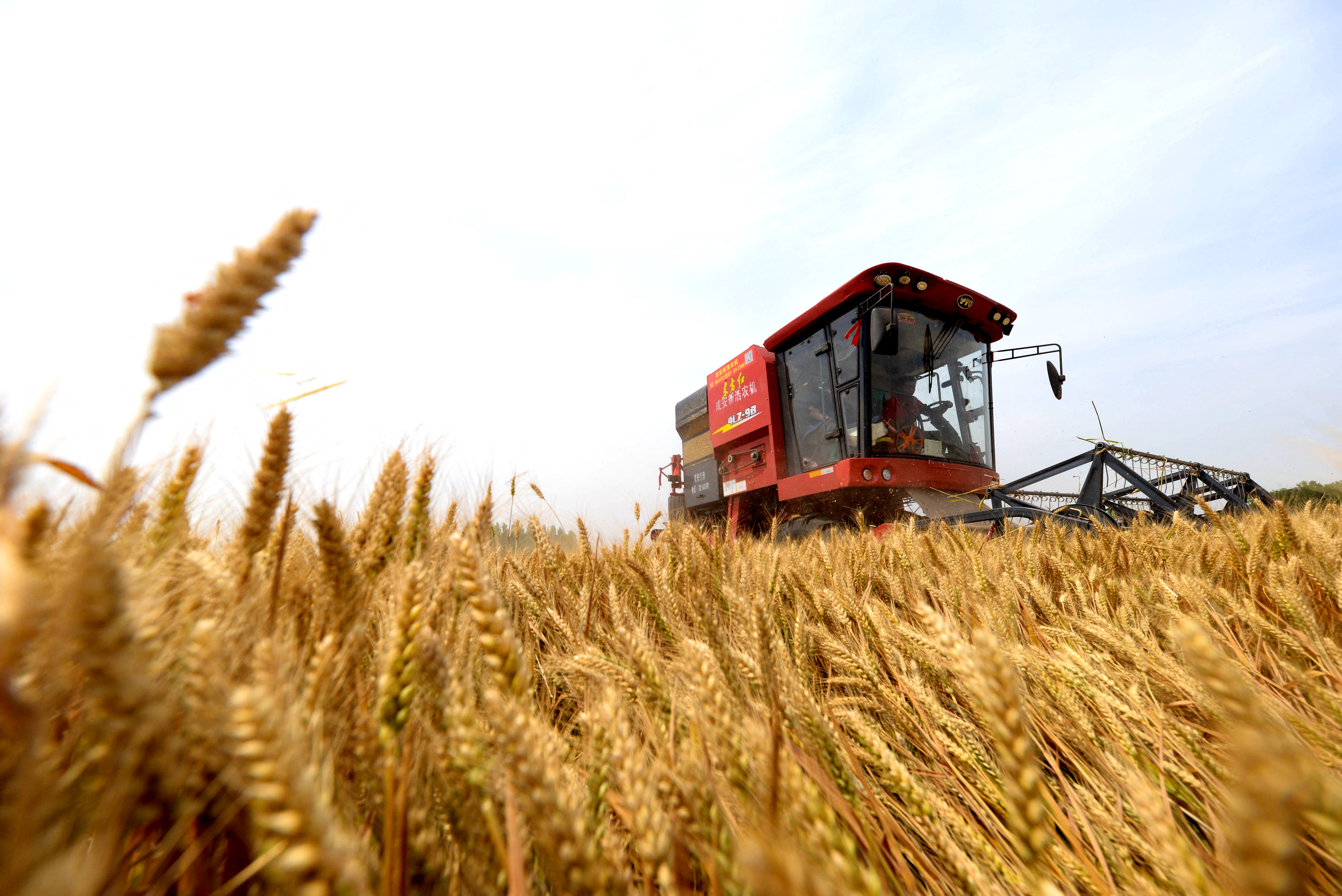 Magyarország is megtiltja a mezőgazdasági termékek importját Ukrajnából