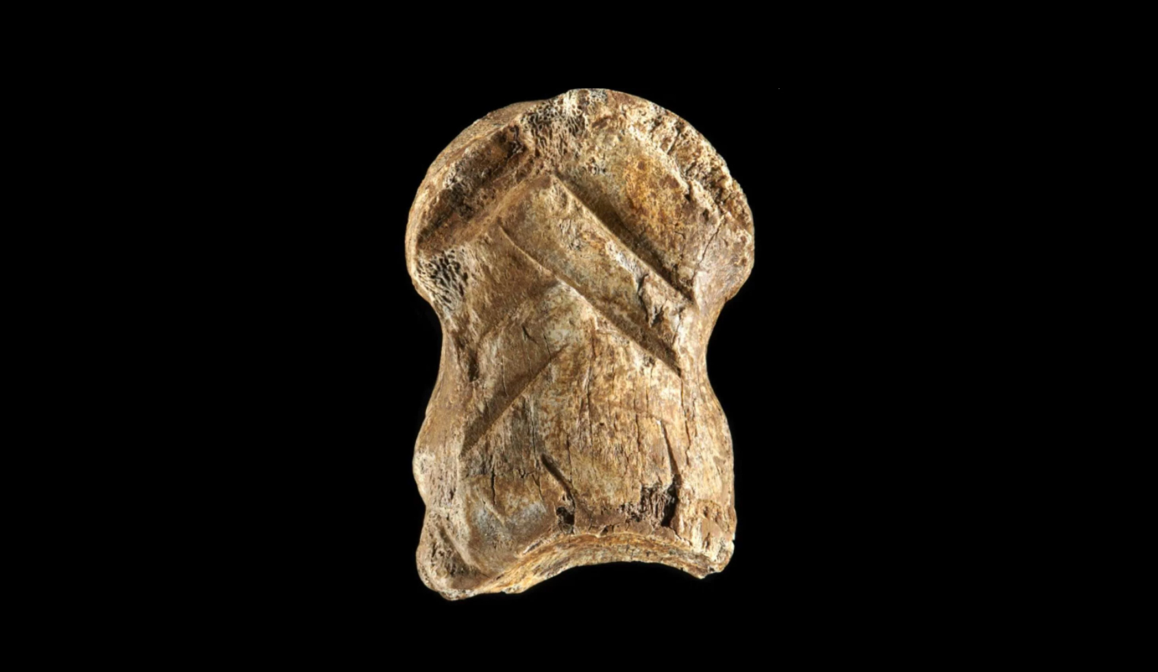 51 ezer éves díszített szarvascsont bizonyítja a neandervölgyiek művészi hajlamait