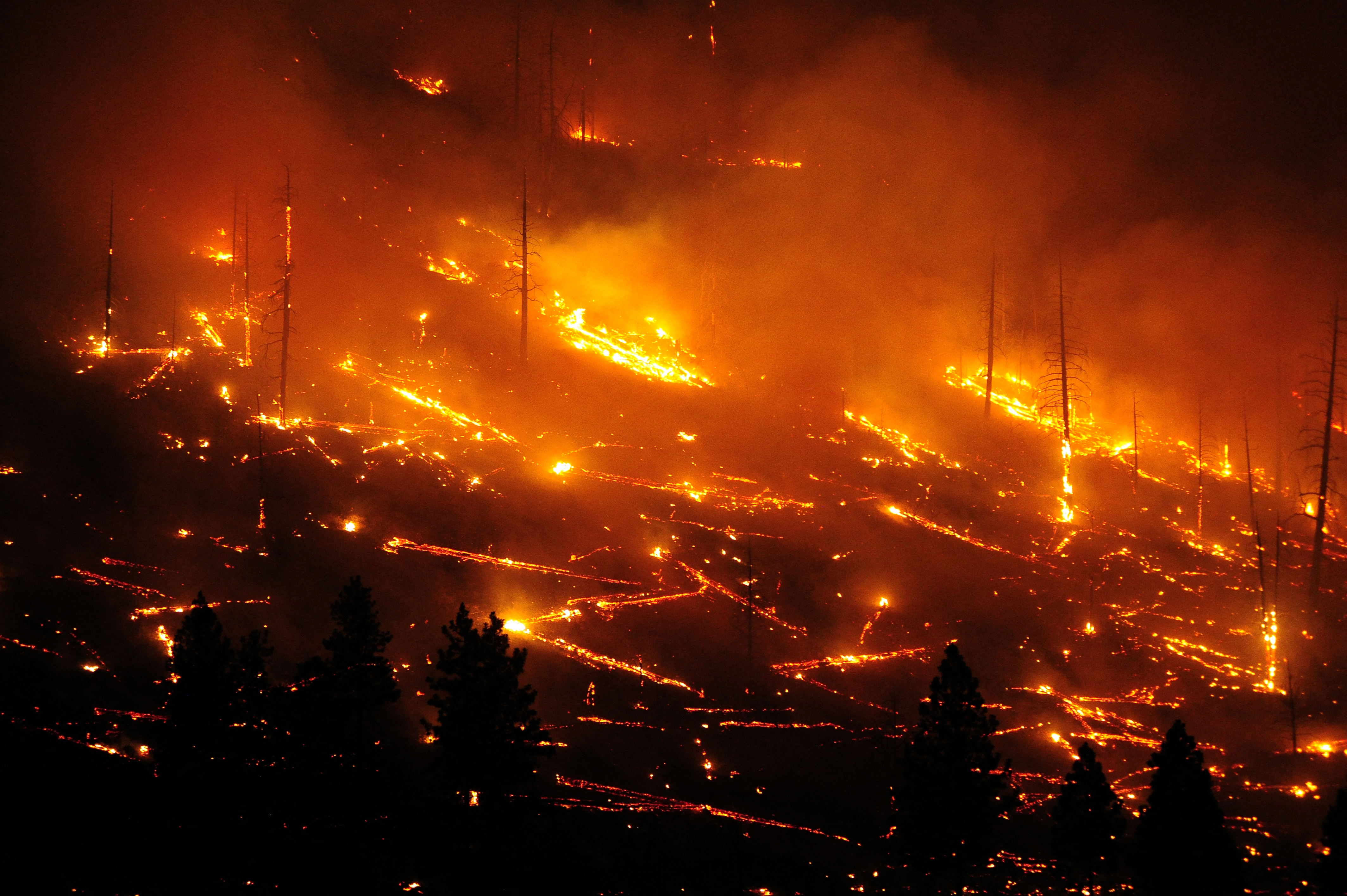 Erdőtüzek pusztítanak Kaliforniában, 53 fokot is mértek