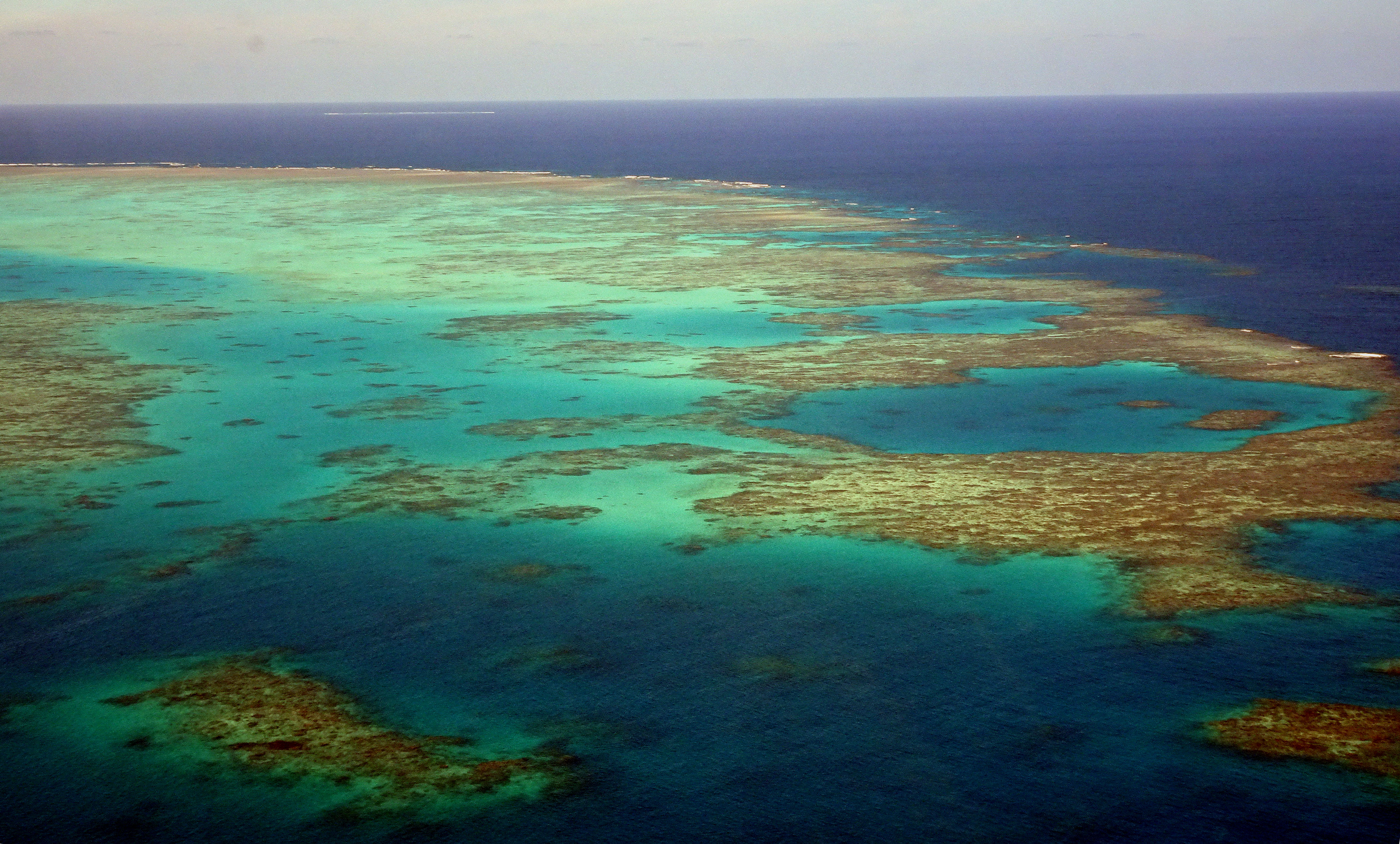 Ausztrália nem akarja, hogy az UNESCO veszélyeztetettnek minősítse a Nagy-korallzátonyt