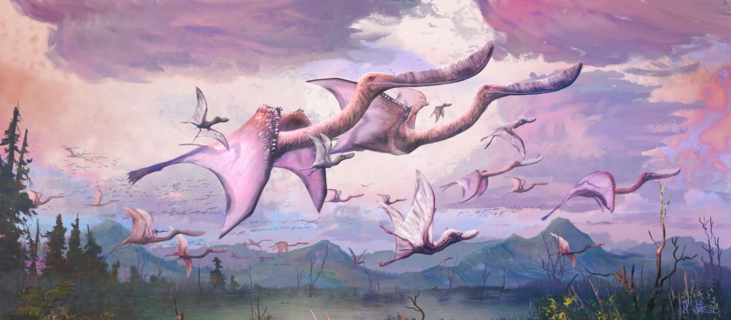 Alighogy kikeltek, már repkedhettek is az ifjú pteroszauruszok