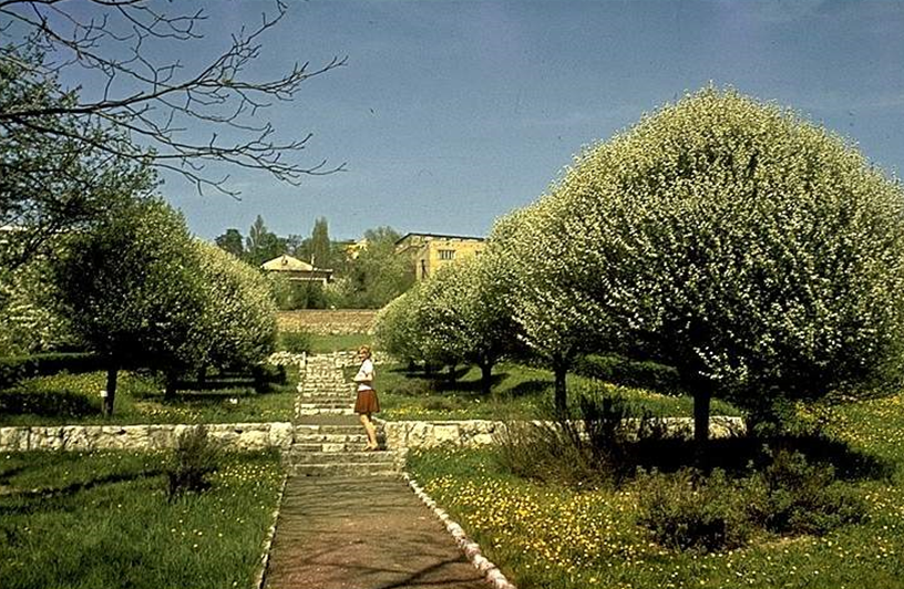 A Kertészeti Egyetem kertje az 1960-as évek végén
