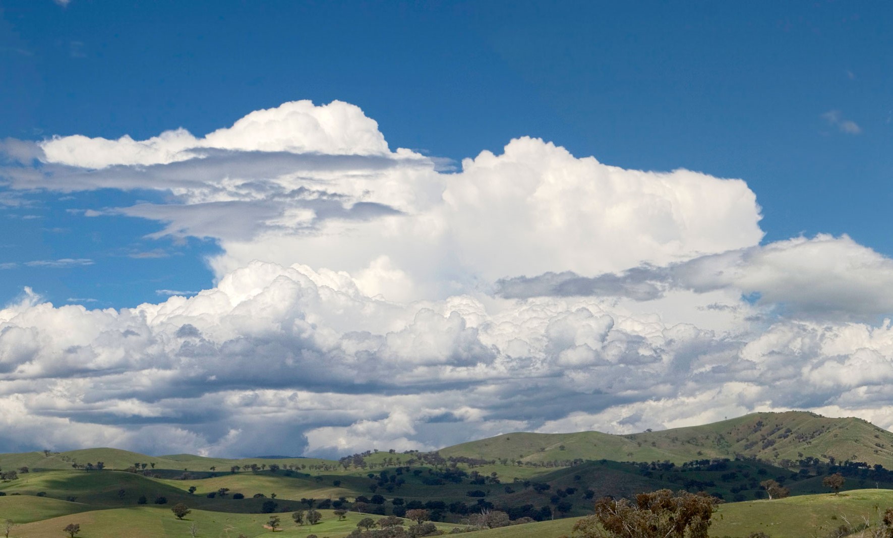 Cumulus humilis gomolyfelhők Ausztráliában.
