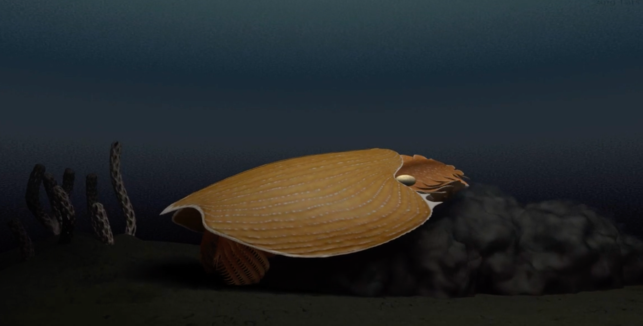 Óriásként uralhatta a kambriumi óceánok mélyét egy most felfedezett ősi ragadozó, pedig alig volt félméteres