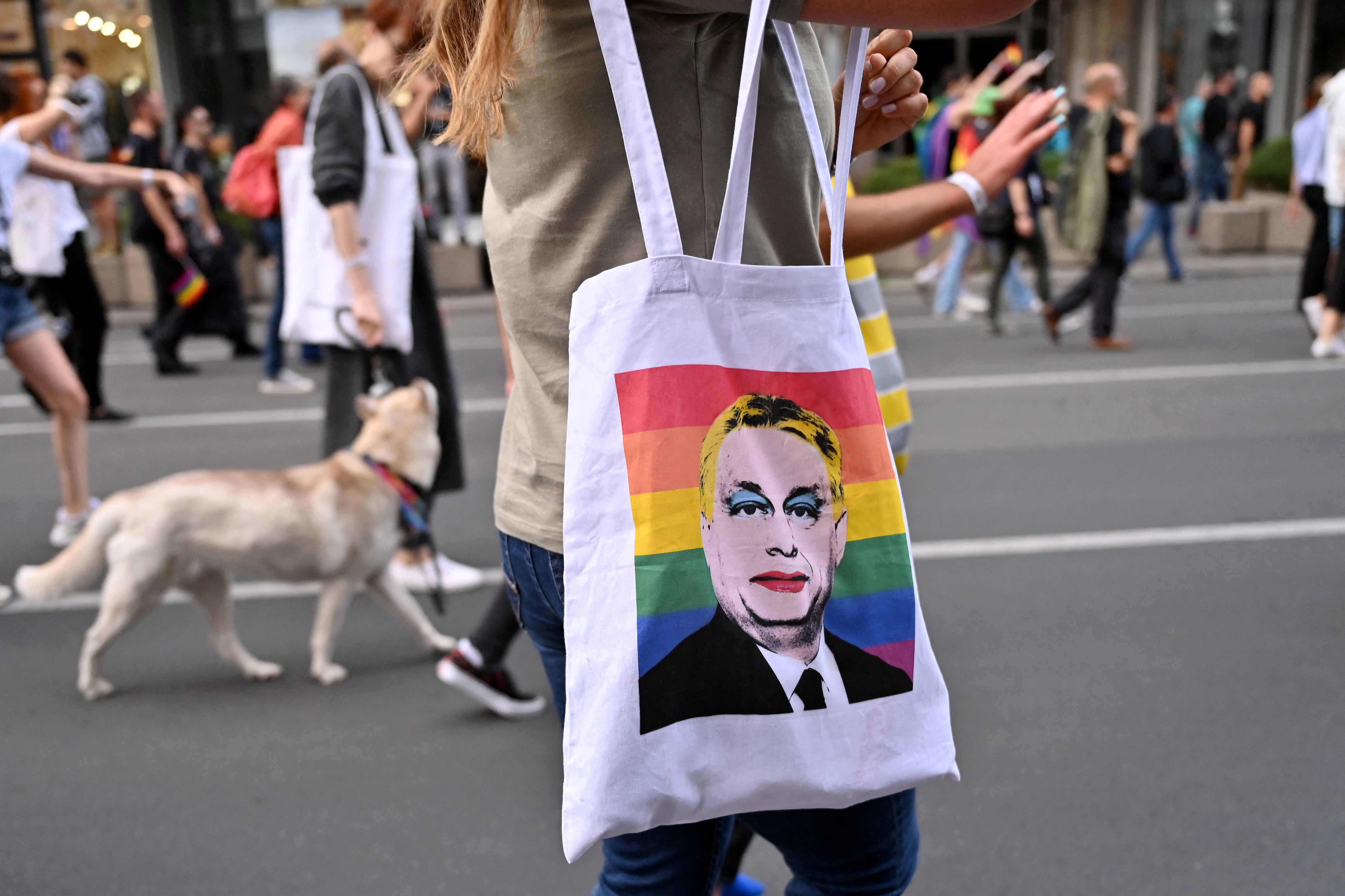 Németország és Franciaország is csatlakozott a homofób törvény elleni perhez
