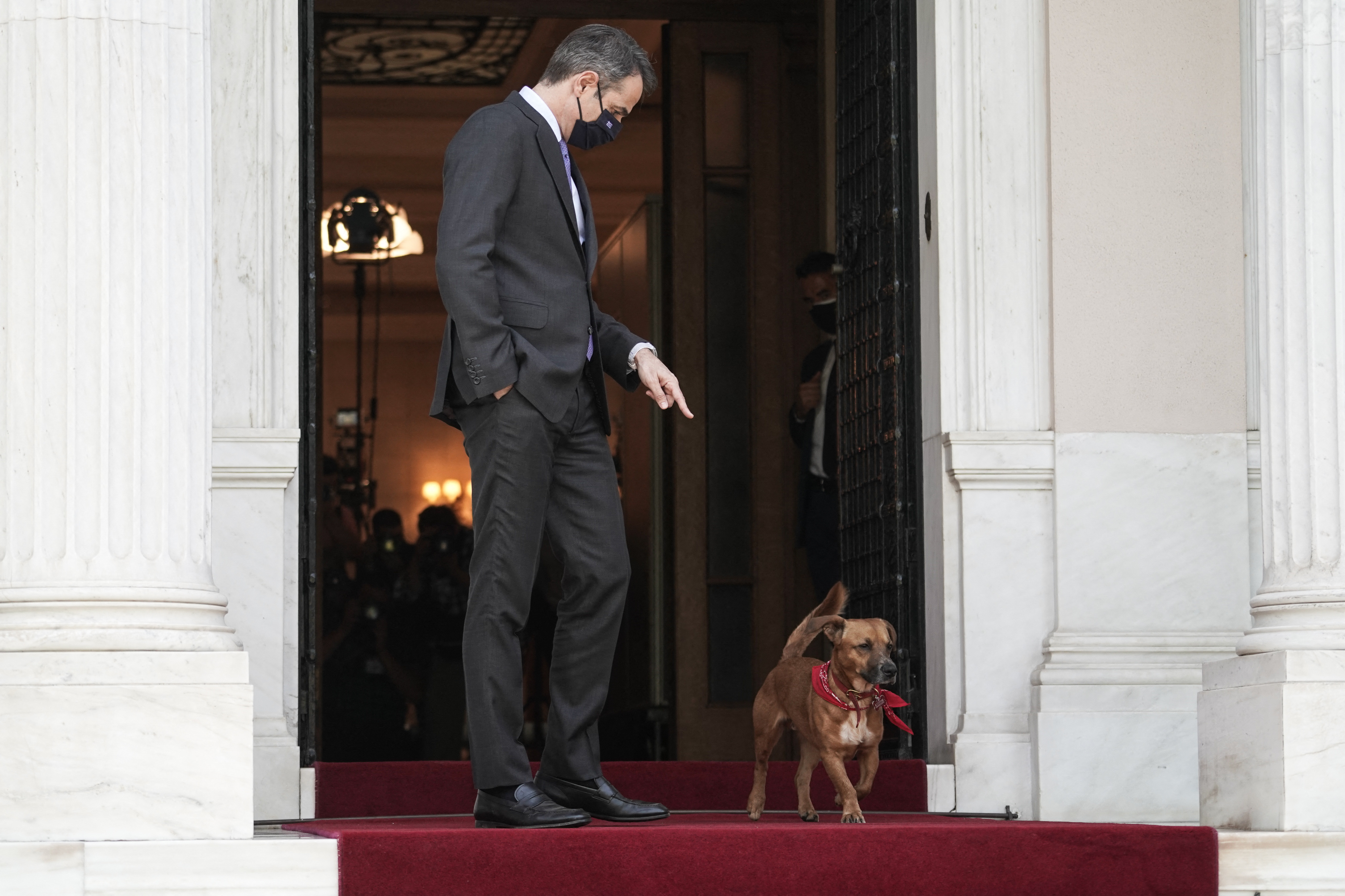 A görög miniszterelnök kutyája, Peanut ellentmondást nem tűrően beleugatott egy sajtótájékoztatóba
