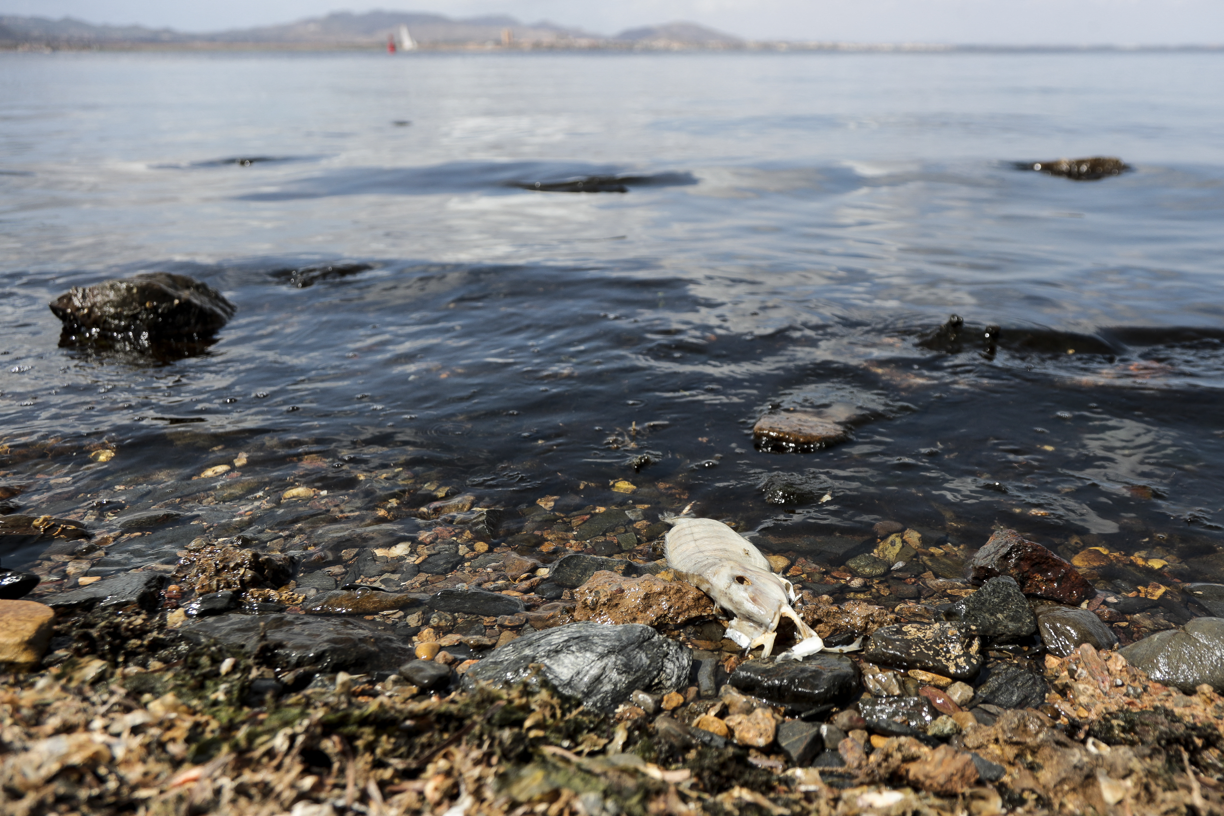 Jogi személlyé nyilvánítottak egy veszélyeztetett lagúnát Spanyolországban