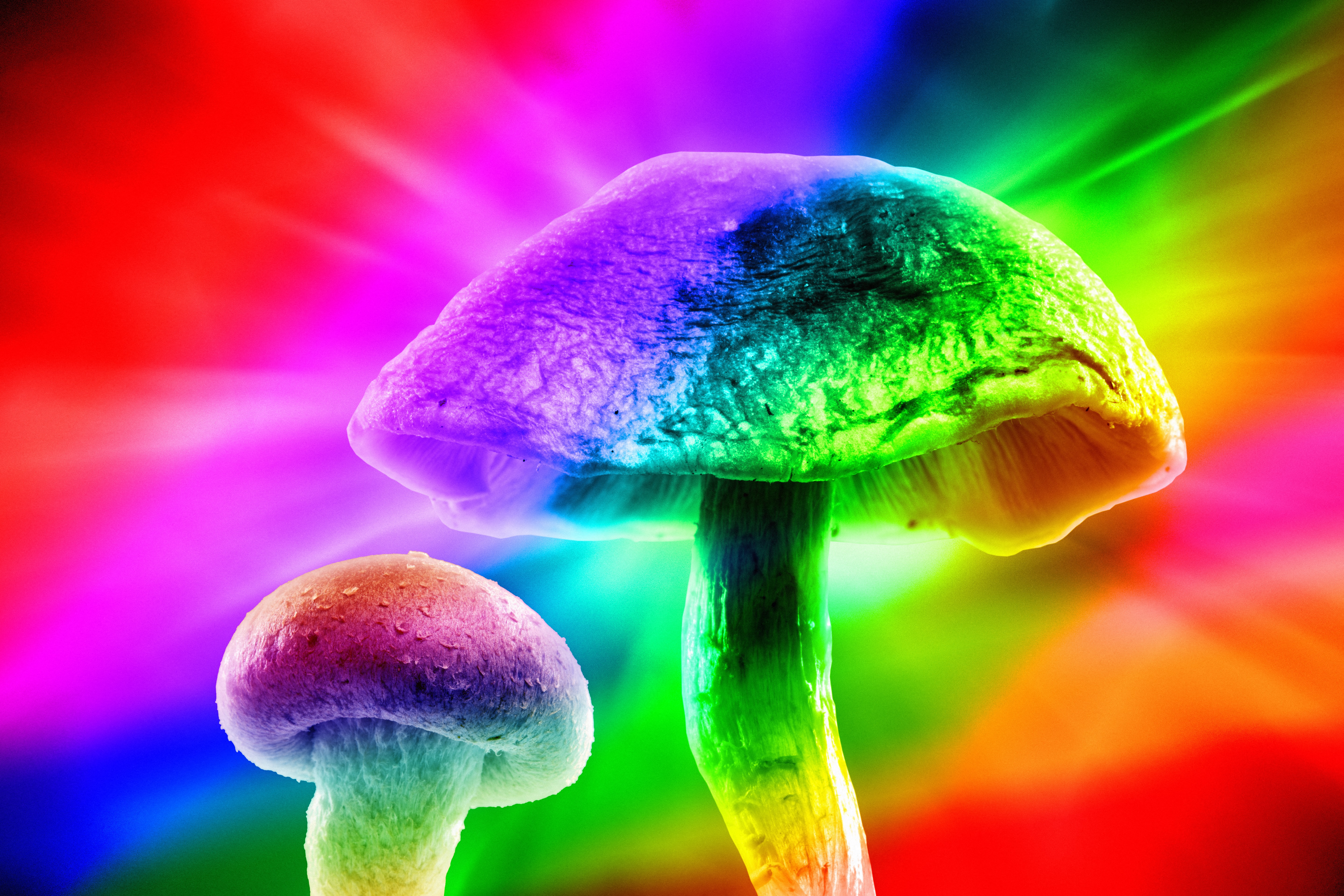 Az LSD és a gomba a szívbetegségek és a cukorbetegség megelőzését is segítheti
