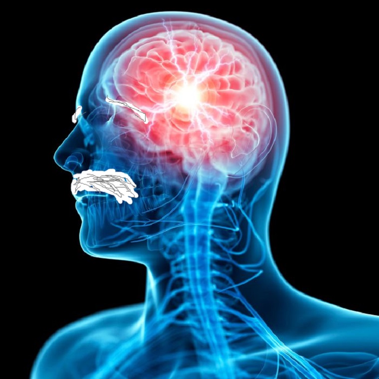 Kövér László arról beszélt a Parlamentben, hogy az agyműködésünket valakik neurotechnológiai eszközökkel, koponyán belülről fogják irányítani