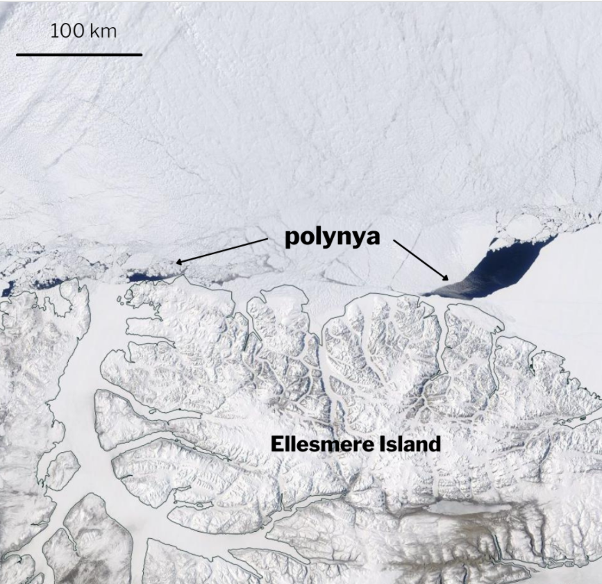 Hatalmas repedést fedeztek fel az Északi-sarkvidék utolsó jeges térségében