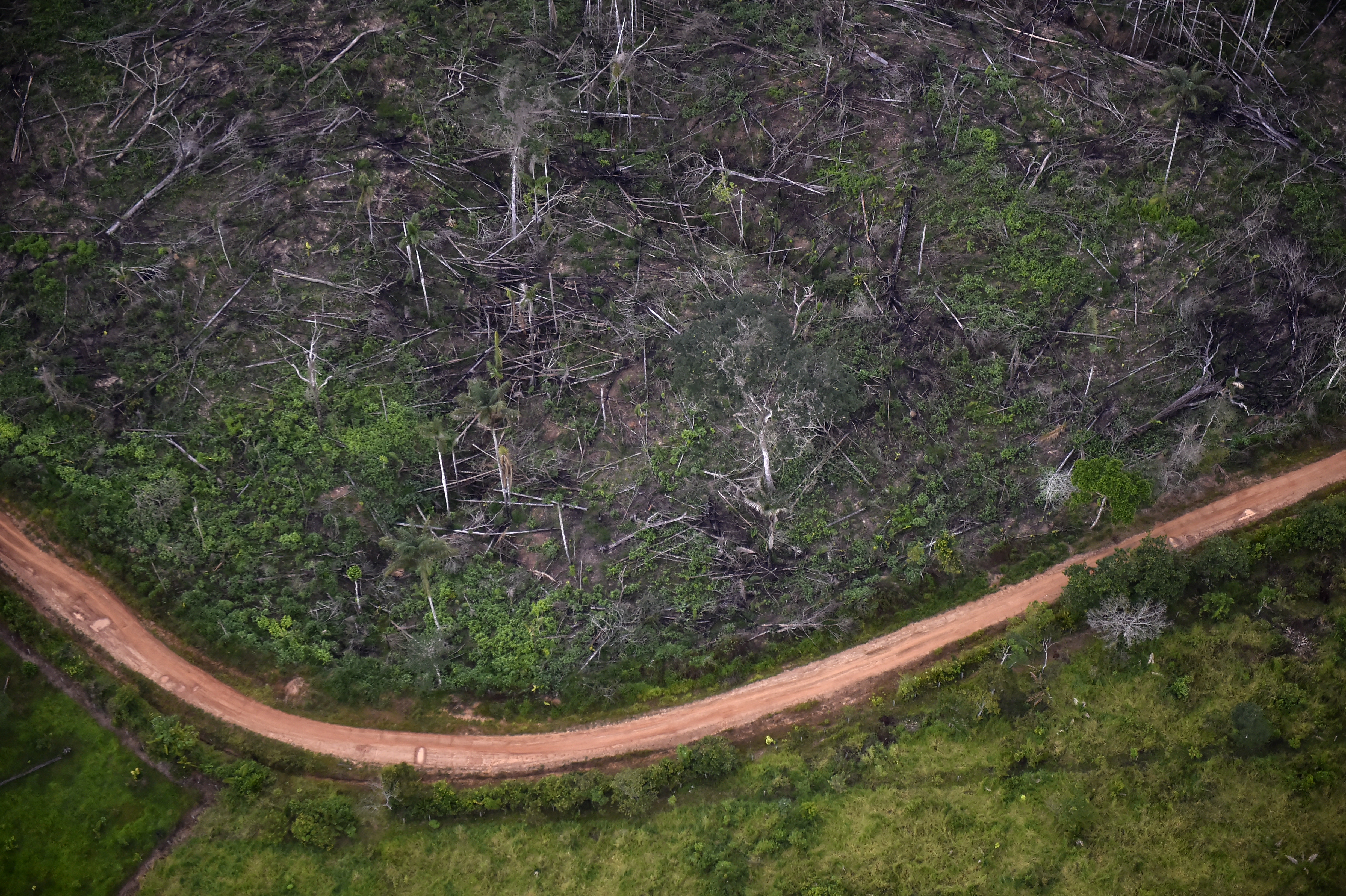 A világ nagyhatalmai megállapodtak, hogy 2030-ra véget vetnek az erdőirtásoknak