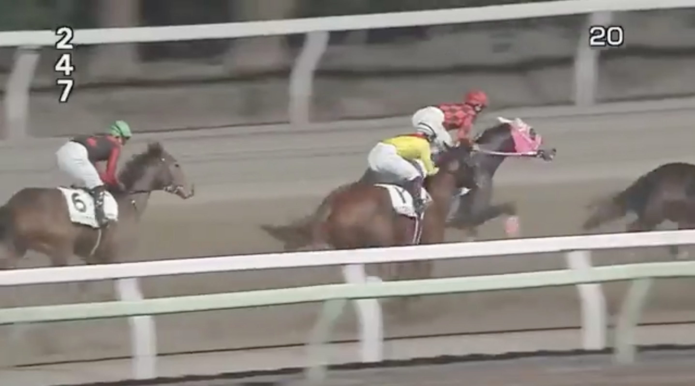 A kommentátorok rémálma, Sumomomomomomomomo nyert egy japán lóversenyen