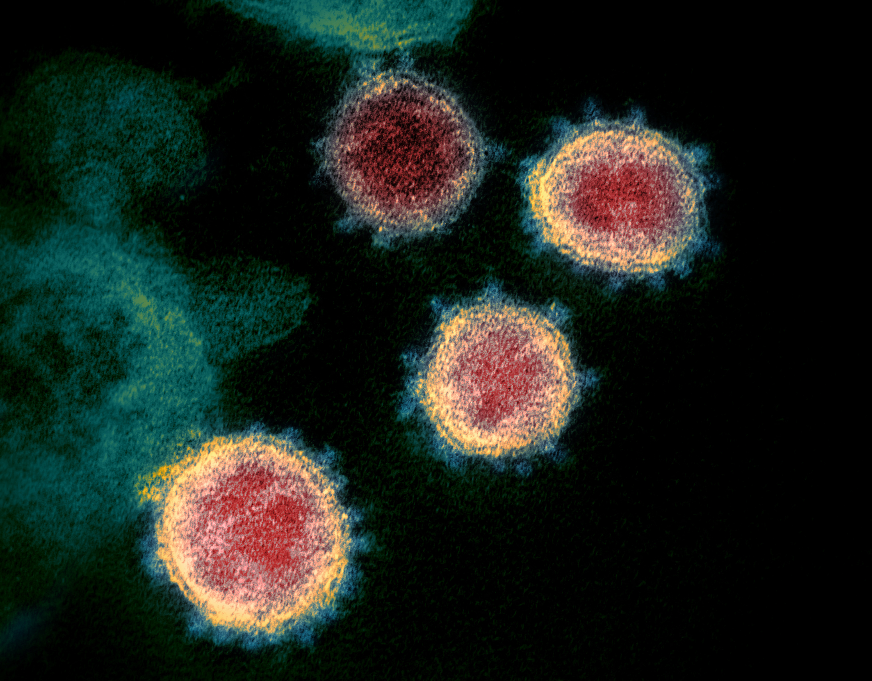Több országban is kisebb pánikot keltett a koronavírus újonnan megjelent variánsa, a B.1.1.529