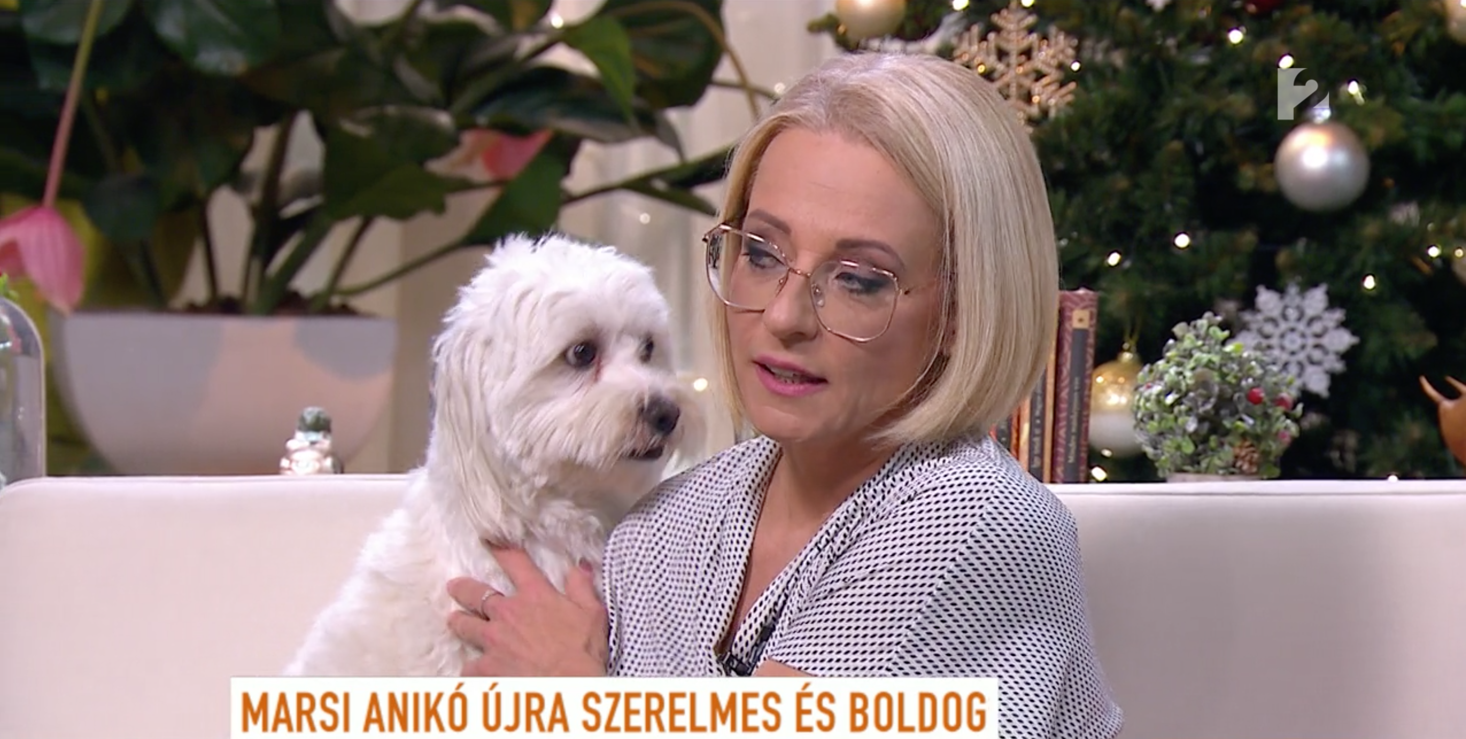 Marsi Anikó jobb karját a TV2 élő adásában hágta meg a kutyája