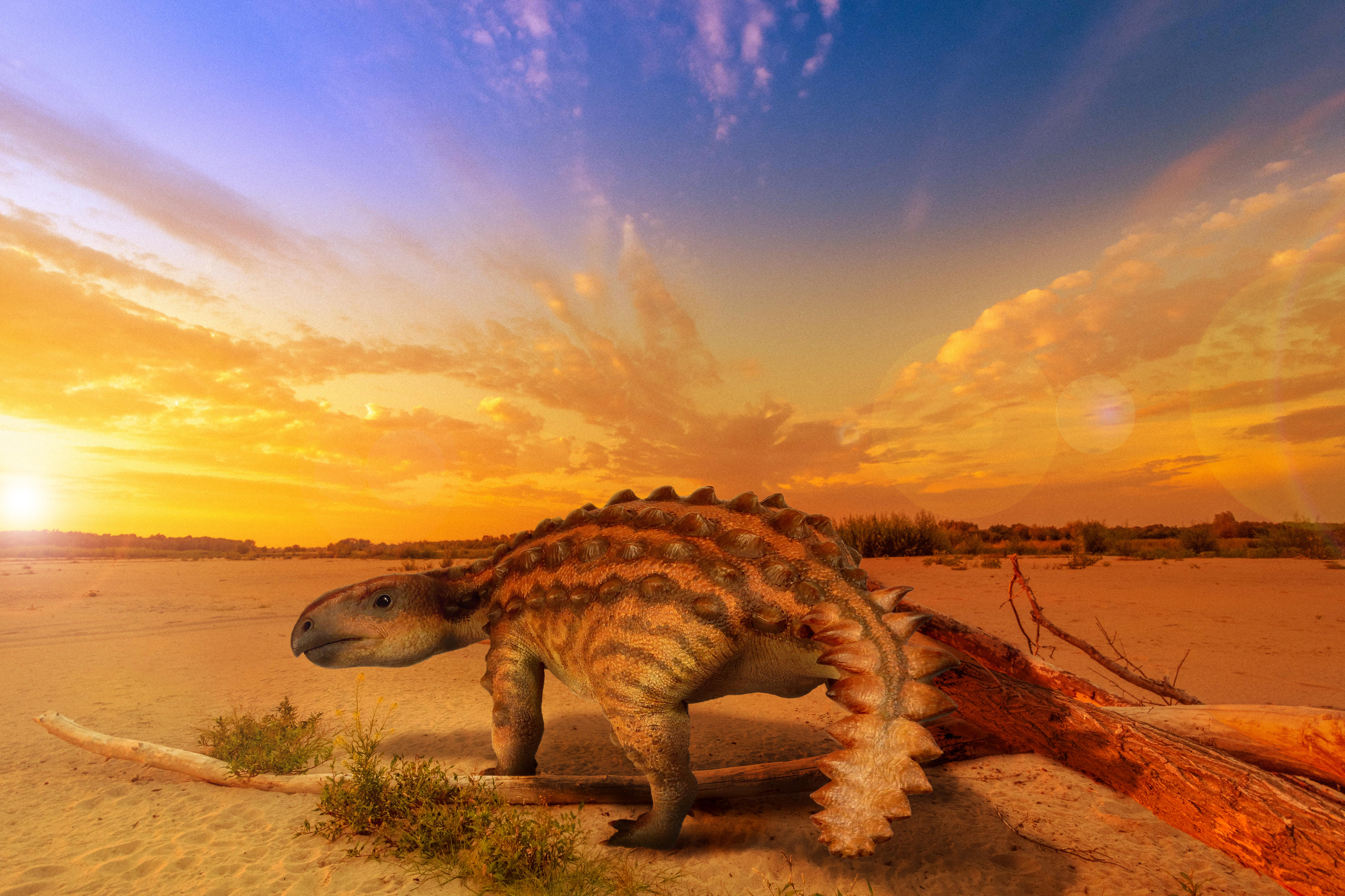 Ember nem látott még olyan páncélos dinoszauruszt, mint a most Chilében felfedezett Stegouros