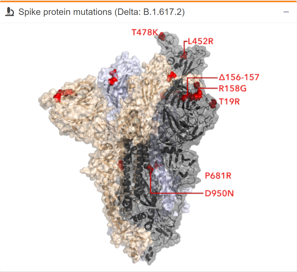 A delta variáns S-fehérjéjén lévő változások