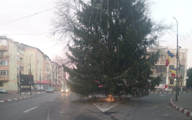 Az út közepére állítottak fel egy hatalmas fenyőfát egy román kisvárosban