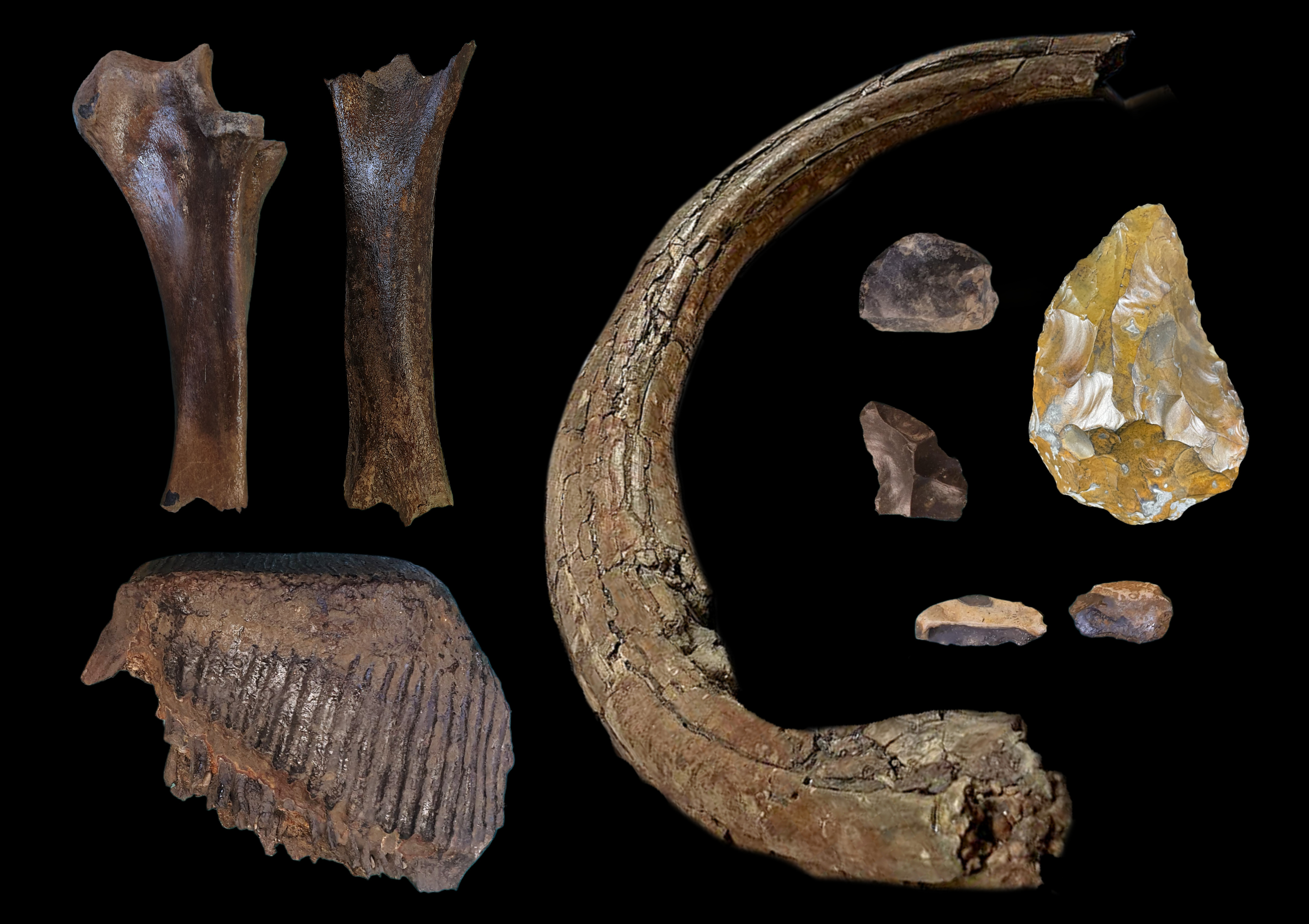 Mamutcsontok és neandervölgyi eszközök
