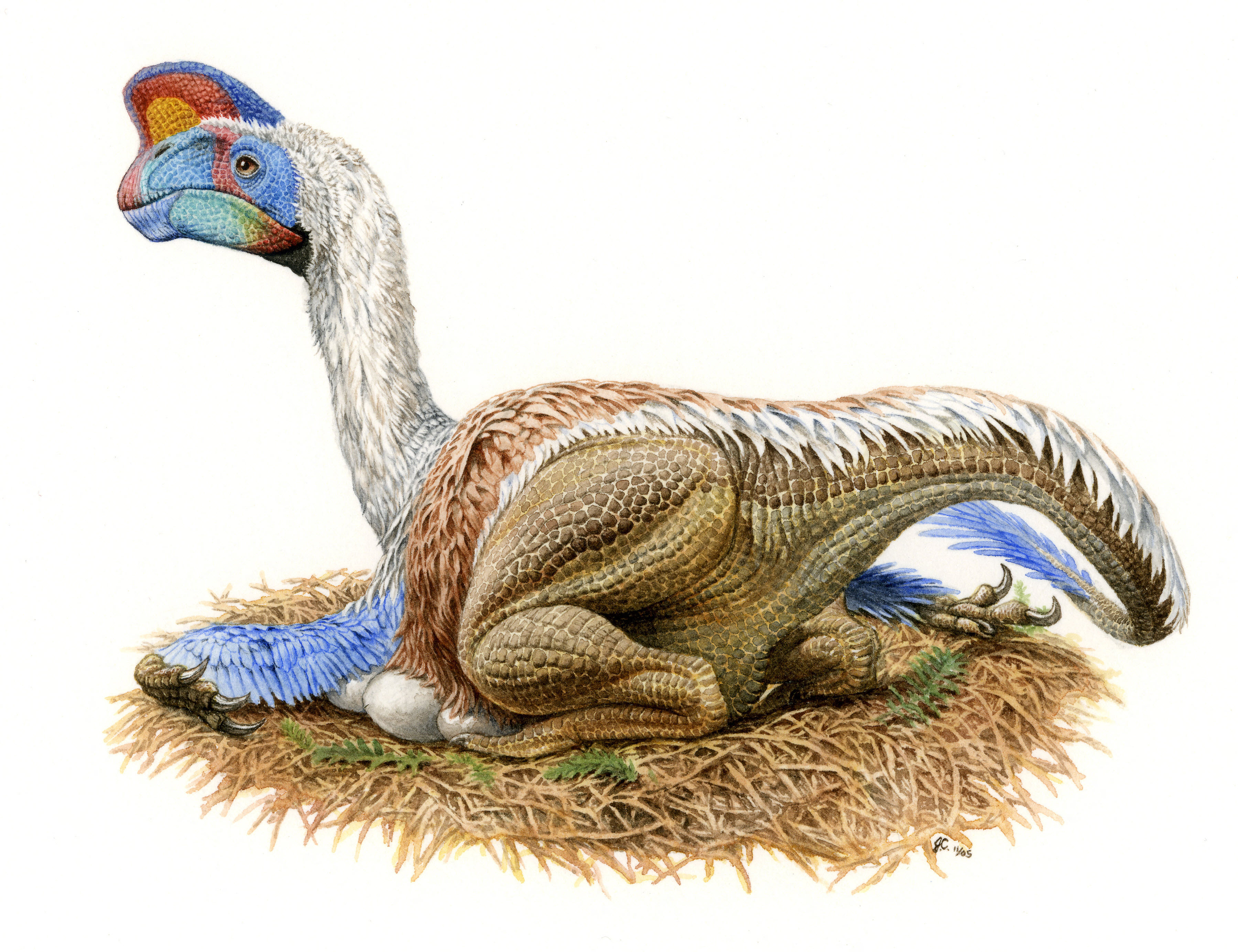 Az oviraptor-embrió az év dinoszaurusza a Qubit 2021-es őslénytani összefoglalójában