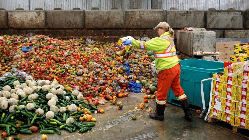 Évente 300 ezer tonna még menthető élelmiszer végzi a kukában Magyarországon
