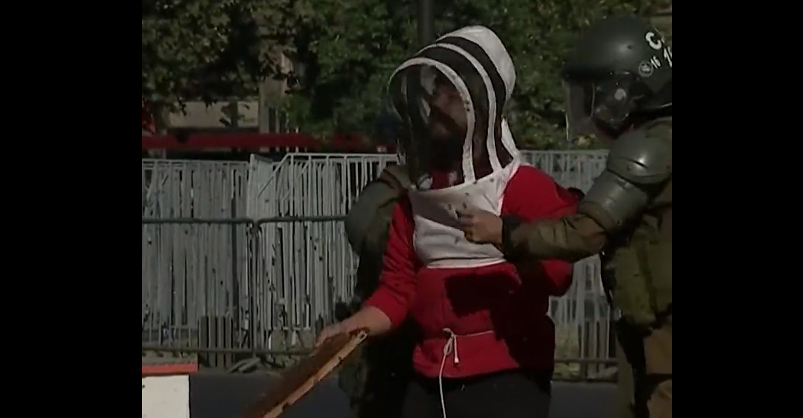 Méztermelők tüntettek Chilében, hét rendőrt csíptek meg a méhek