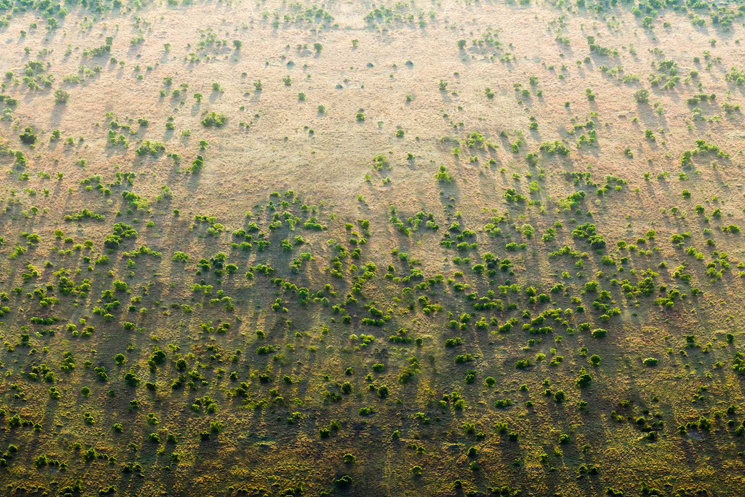 A szaharai Nagy Zöld Fal nem csak Afrika időjárását változtatja meg