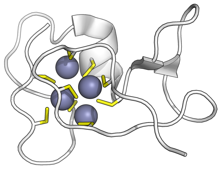 A cinket megkötő cianobaktérium fémkötő fehérjéjének szerkezeti vázlata: a lila gömbök a cinkionokat, a sárga pálcikák pedig az SmtA nevű fehérjét jelzik