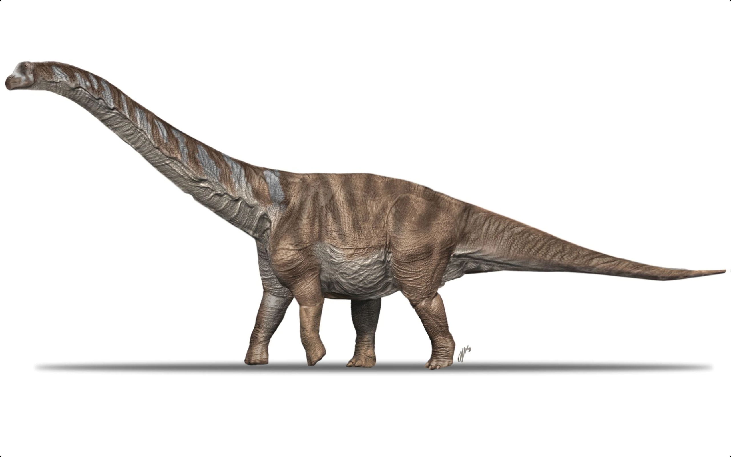 Az itt élő Magyarosaurushoz képest hatalmas, busz méretű dinoszauruszok vándoroltak Európába 70 millió éve