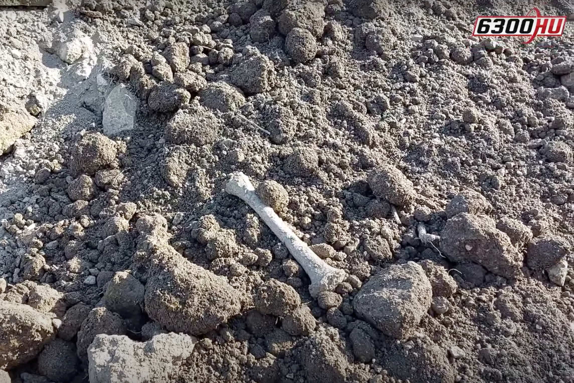 Milliárdos felújításkor talált emberi csontokat szórt szét az érsekség Kalocsa szélén
