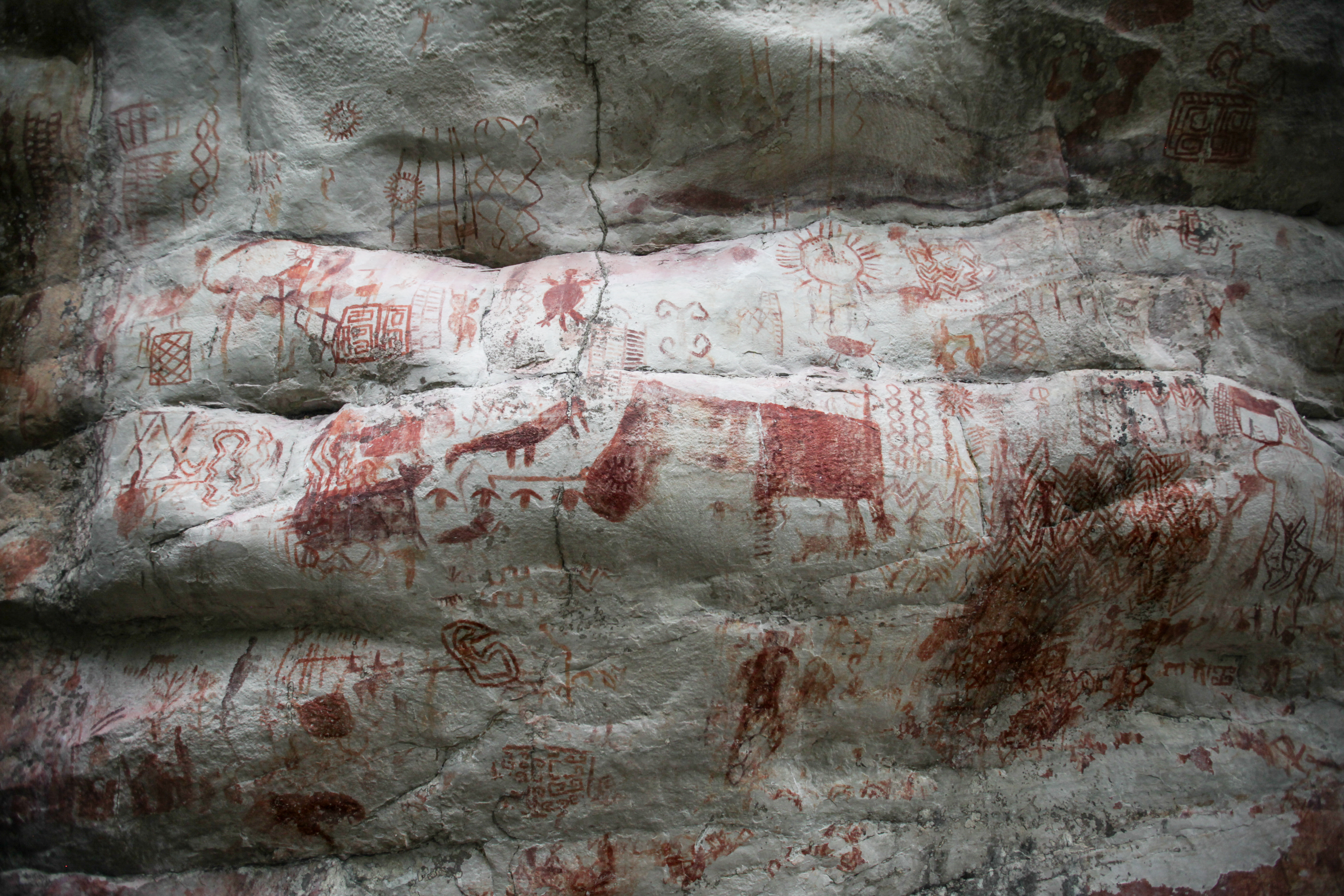 13 kilométer hosszú ősi festménysorozaton elevenedik meg a sok ezer évvel ezelőtti Amazónia élővilága