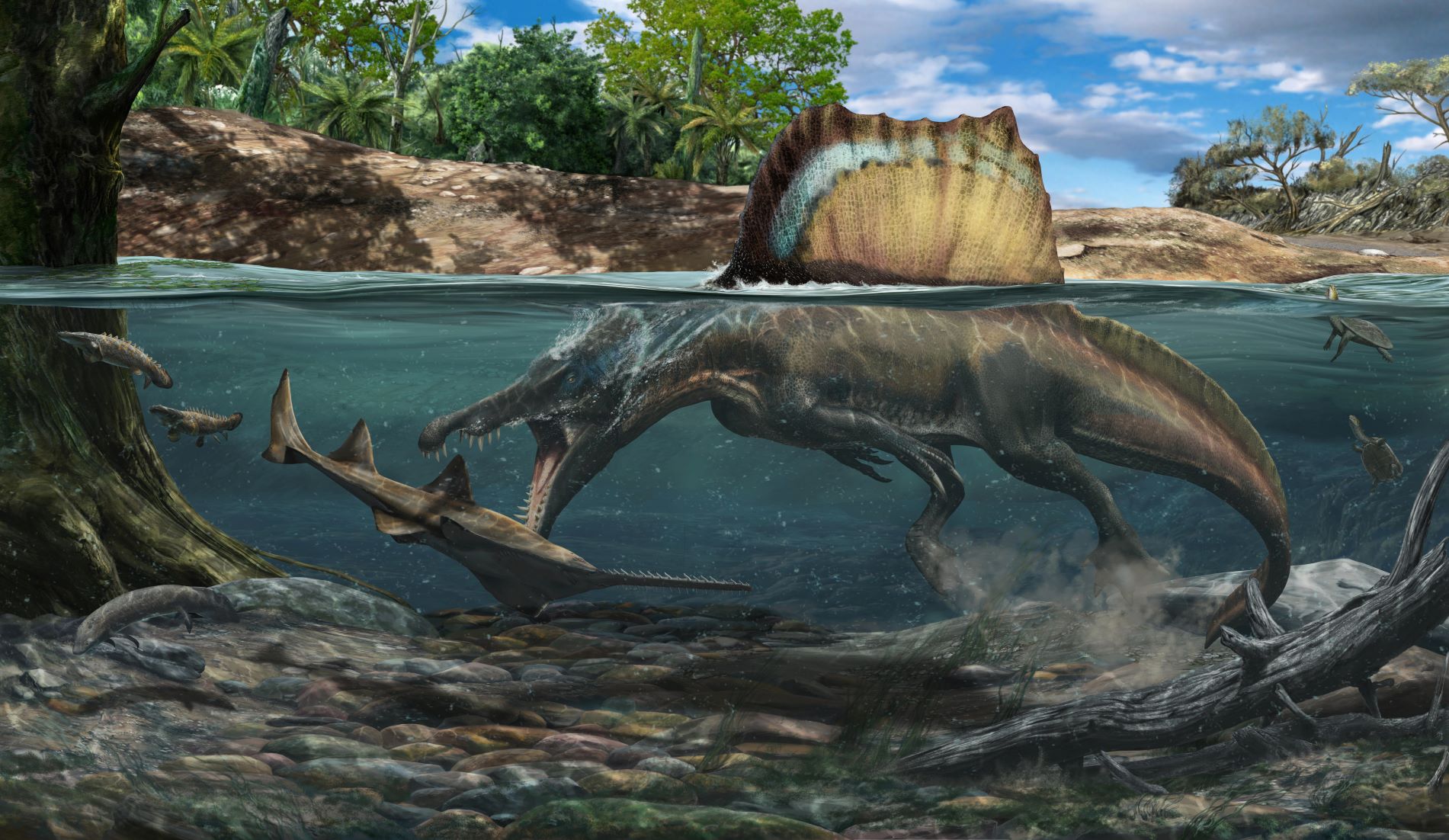 A kréta időszaki Észak-Afrikában halakra vadászó Spinosaurus