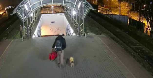 Ellopták egy ukrán menekült csomagjait és kutyáját a zuglói vasútállomáson