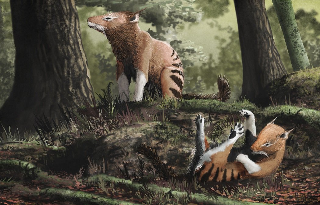 A kréta időszak elején élt Repenomamus giganteus emlős művészi ábrázolása. A néhány tízmillió évvel később, a késő krétában megjelent méhlepényesek a relatív agyméret hirtelen megnövekedését hozták