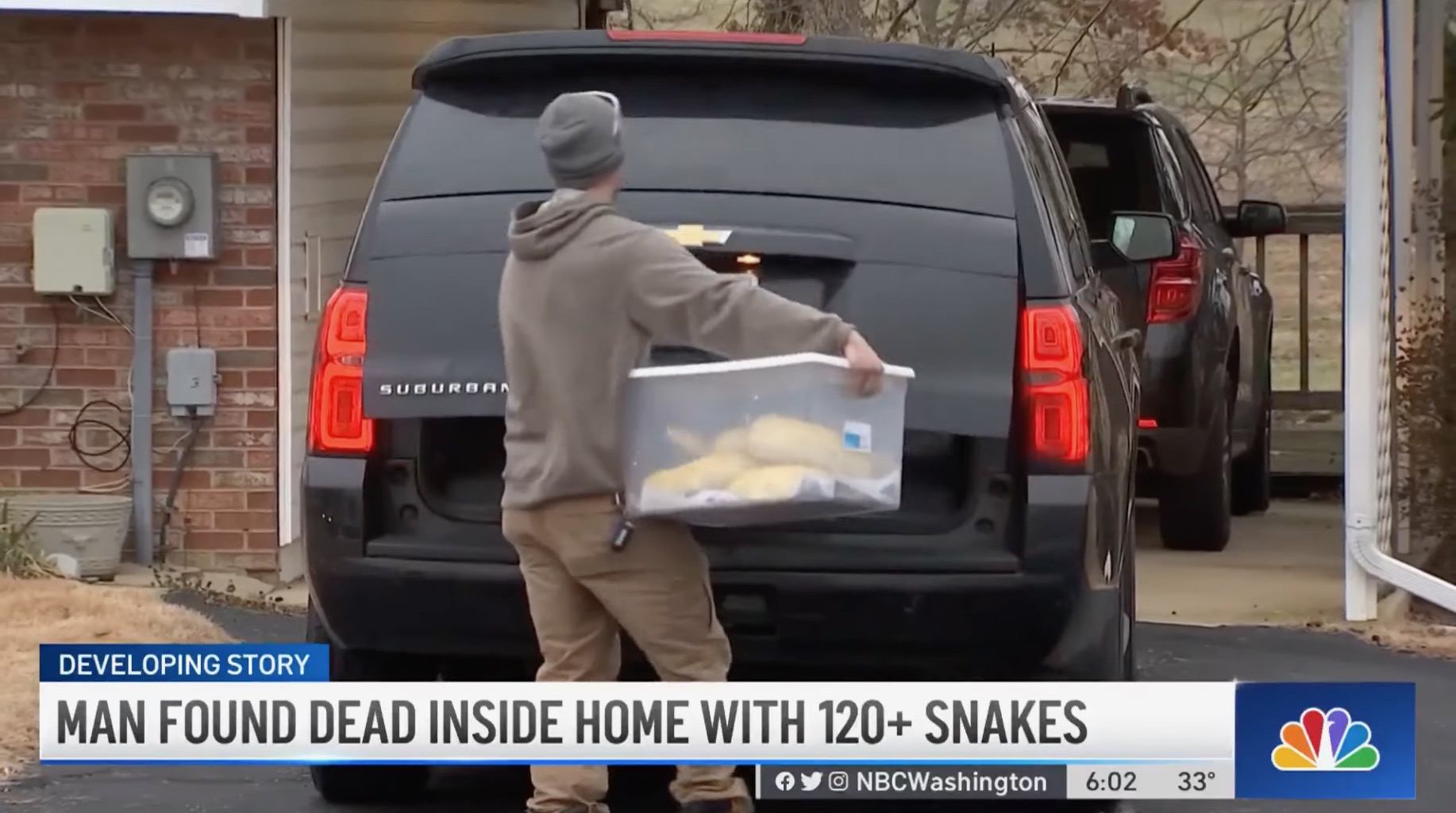 Véletlen kígyómarás miatt halt meg egy marylandi férfi, aki 124 kígyót tartott a házában